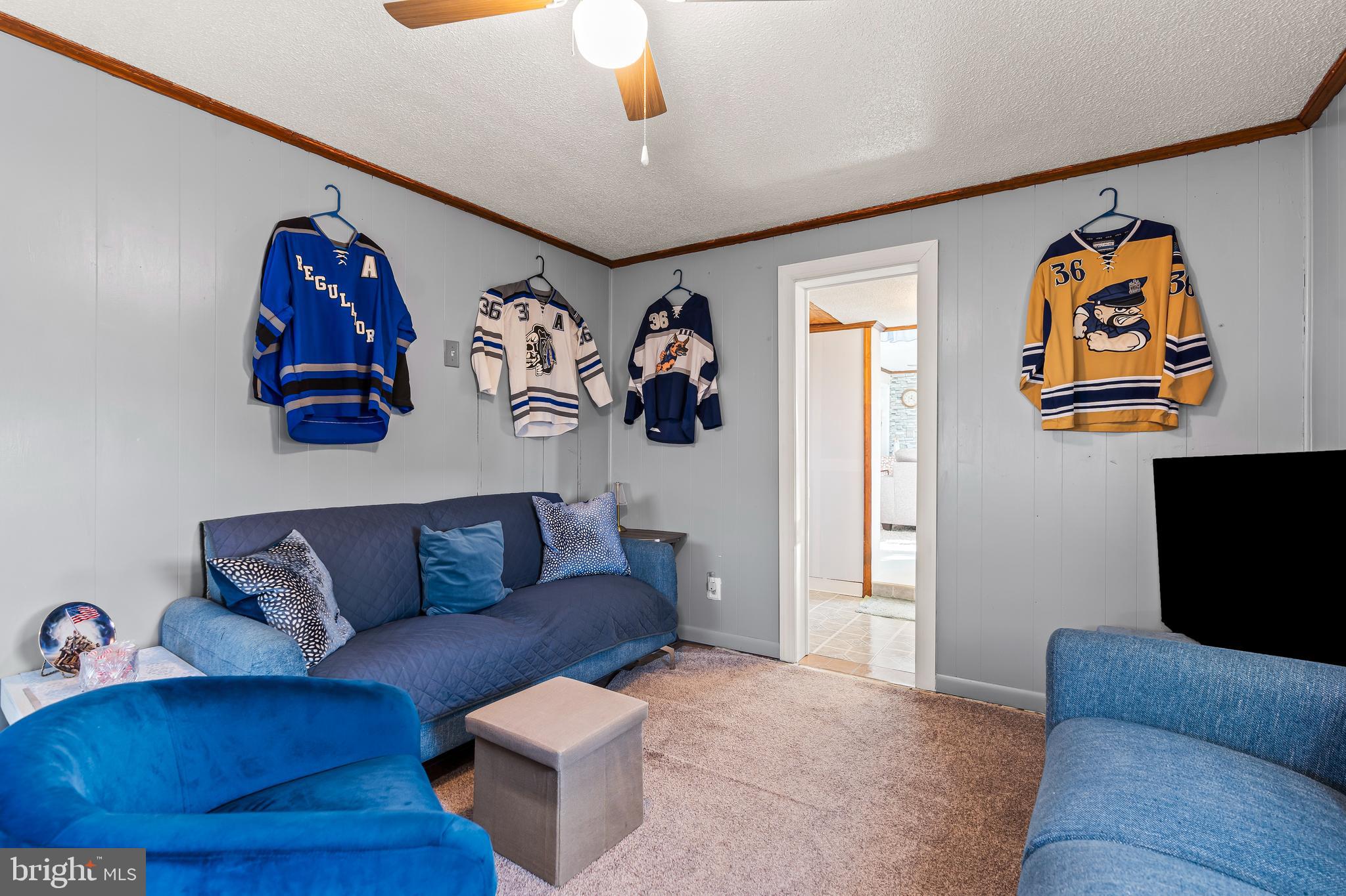 9437 Masters Road Waynesboro, PA 17268 - Photo 29 of 39 a living room with furniture and a couch