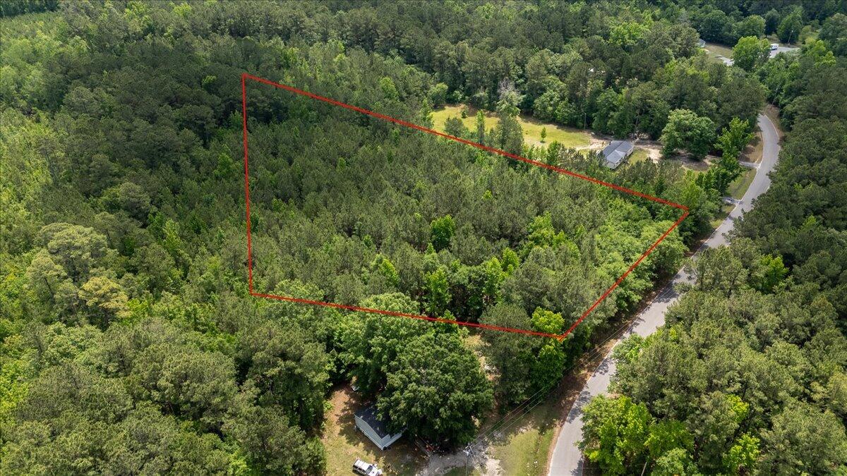 0 Deneaux Road Rowesville, SC 29133 - Photo 22 of 43 22-Deneaux-19a