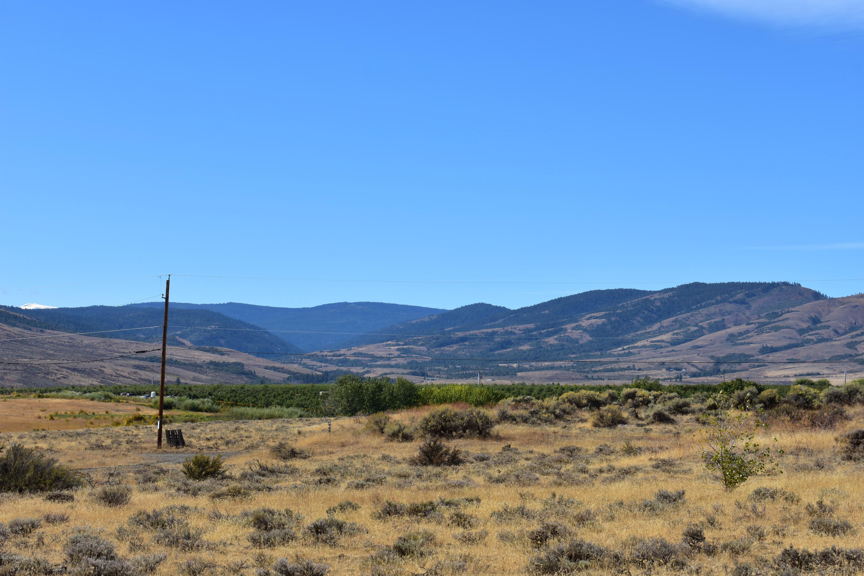 131 Mini Pines Road Yakima, WA 98903 - Photo 23 of 27 a view of a backyard with a large tree