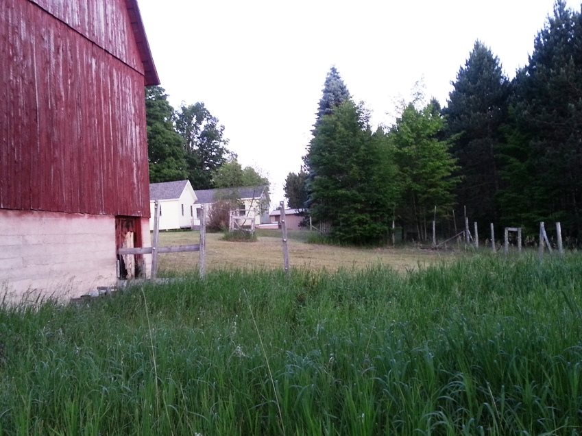 8676 Mockerman Road Southeast Fife Lake, MI 49633 - Photo 57 of 65 1821812-60.JPG