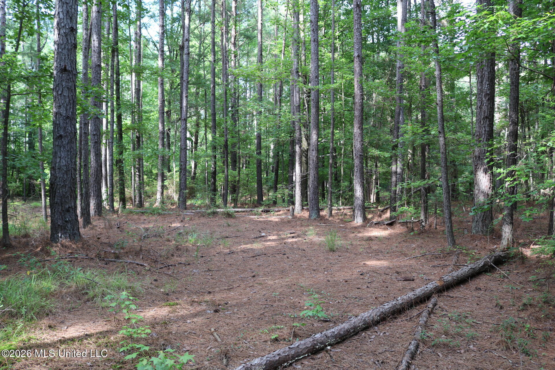 2026 Stump Bridge Road Camden, MS 39045 - Photo 13 of 18 IMG_5702