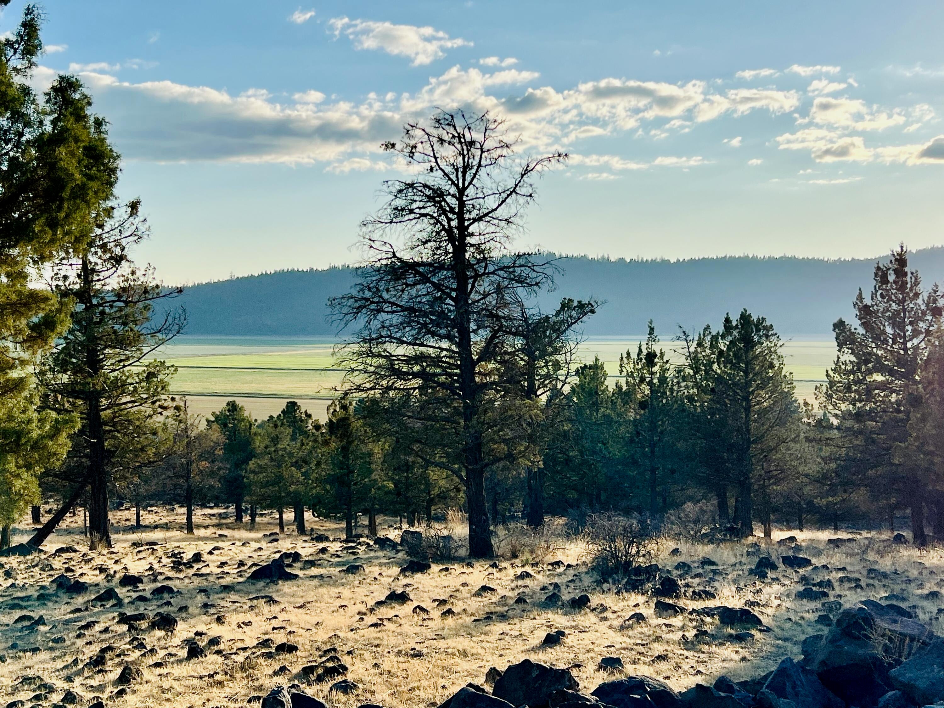 801 Cooper's Hawk Road Klamath Falls, OR 97601 - Photo 11 of 12 11
