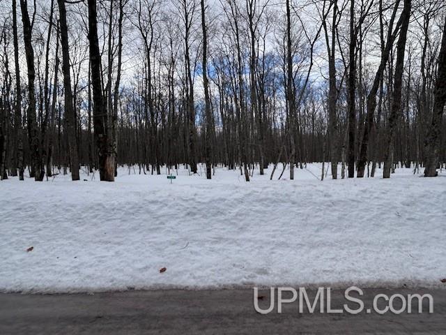 53554 North Superior Road Houghton, MI 49931 - Photo 8 of 41