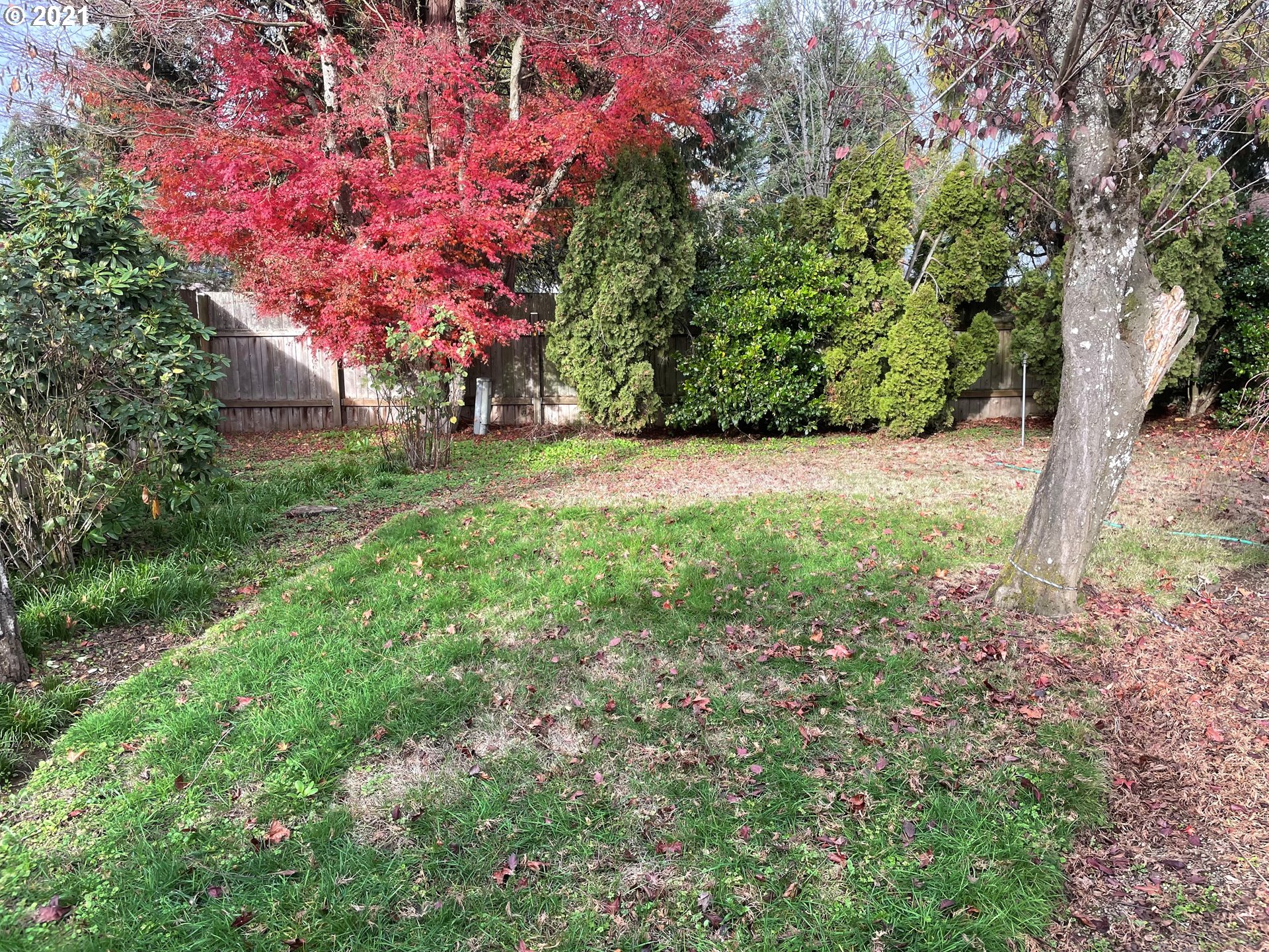 516 53rd Street Springfield, OR 97478 - Photo 13 of 13 a backyard of a house with lots of green space