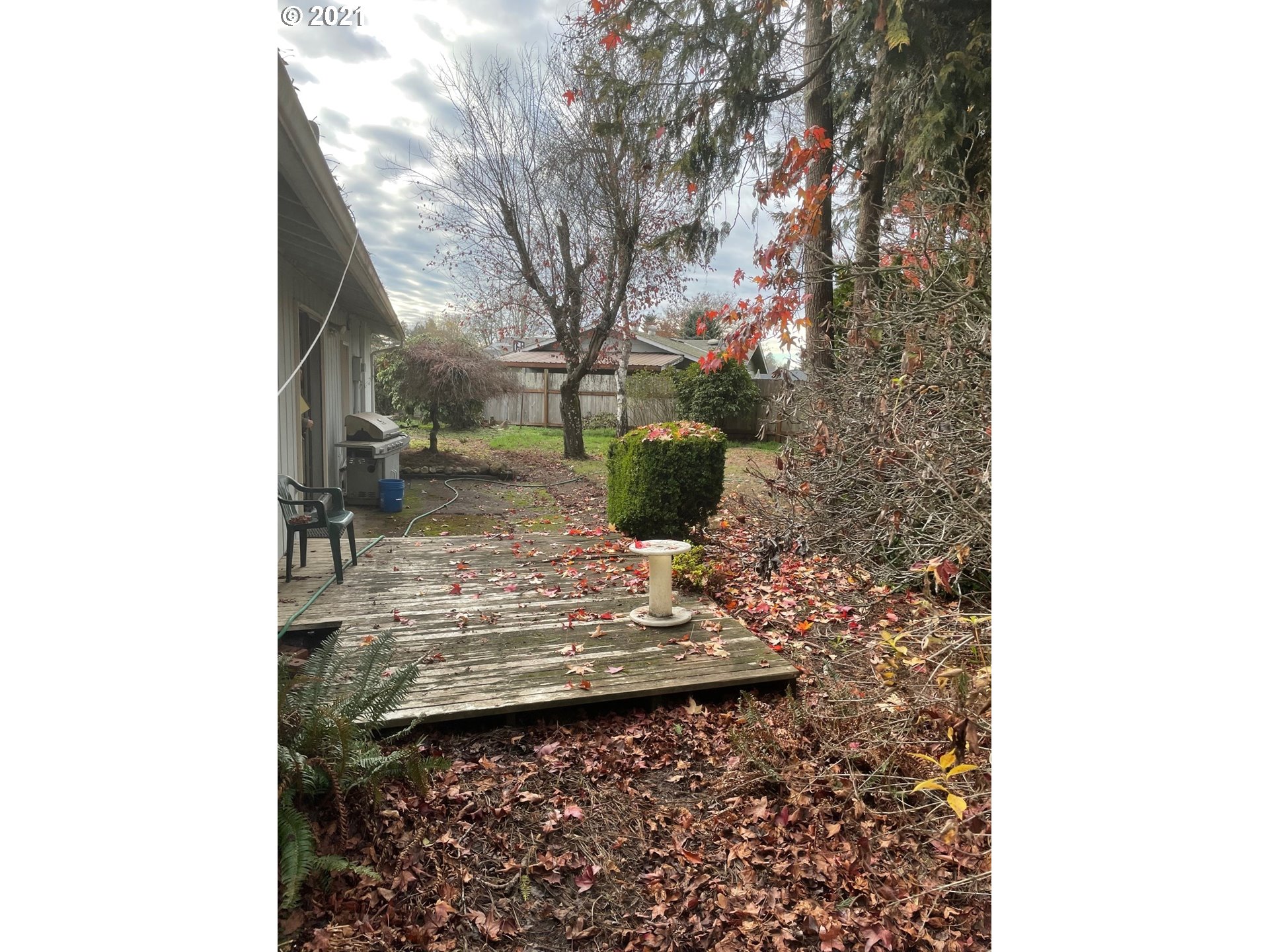 516 53rd Street Springfield, OR 97478 - Photo 9 of 13 a view of a yard