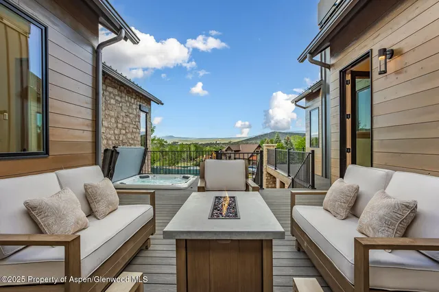 a view of a patio with couches and a potted plant on a table