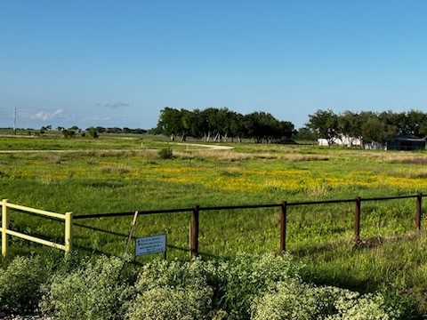 a view of a grassy area with an ocean