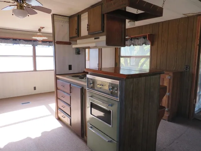 front view of a house with a tree