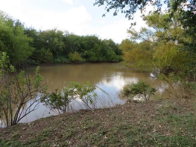 a picture of a tree in front of a house