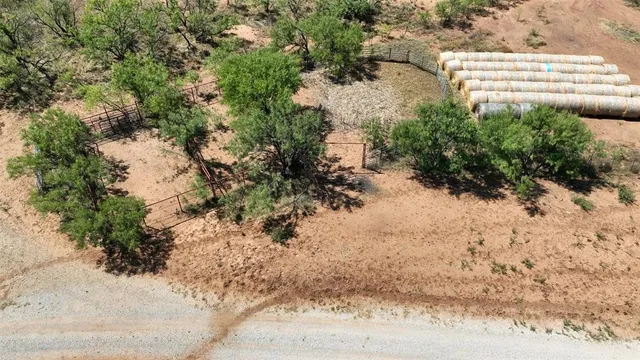 a view of a yard with plants and trees