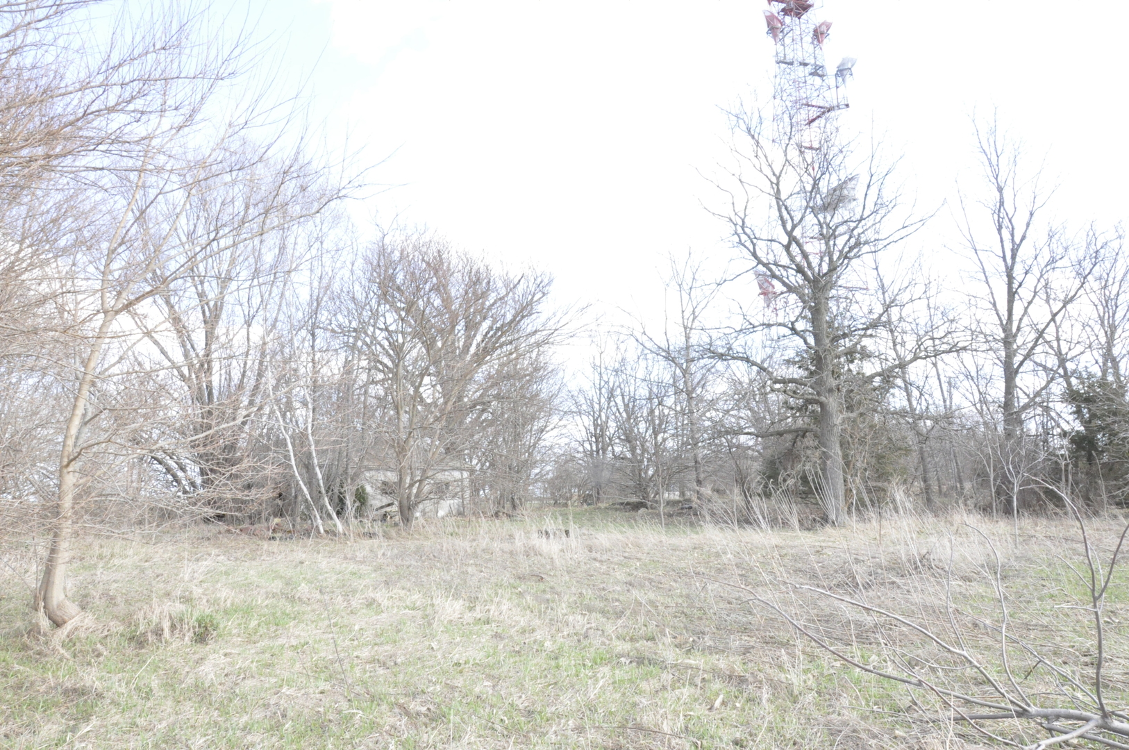 0 North 16th Road Lostant, IL 61334 - Photo 23 of 27 a view of a yard covered with snow