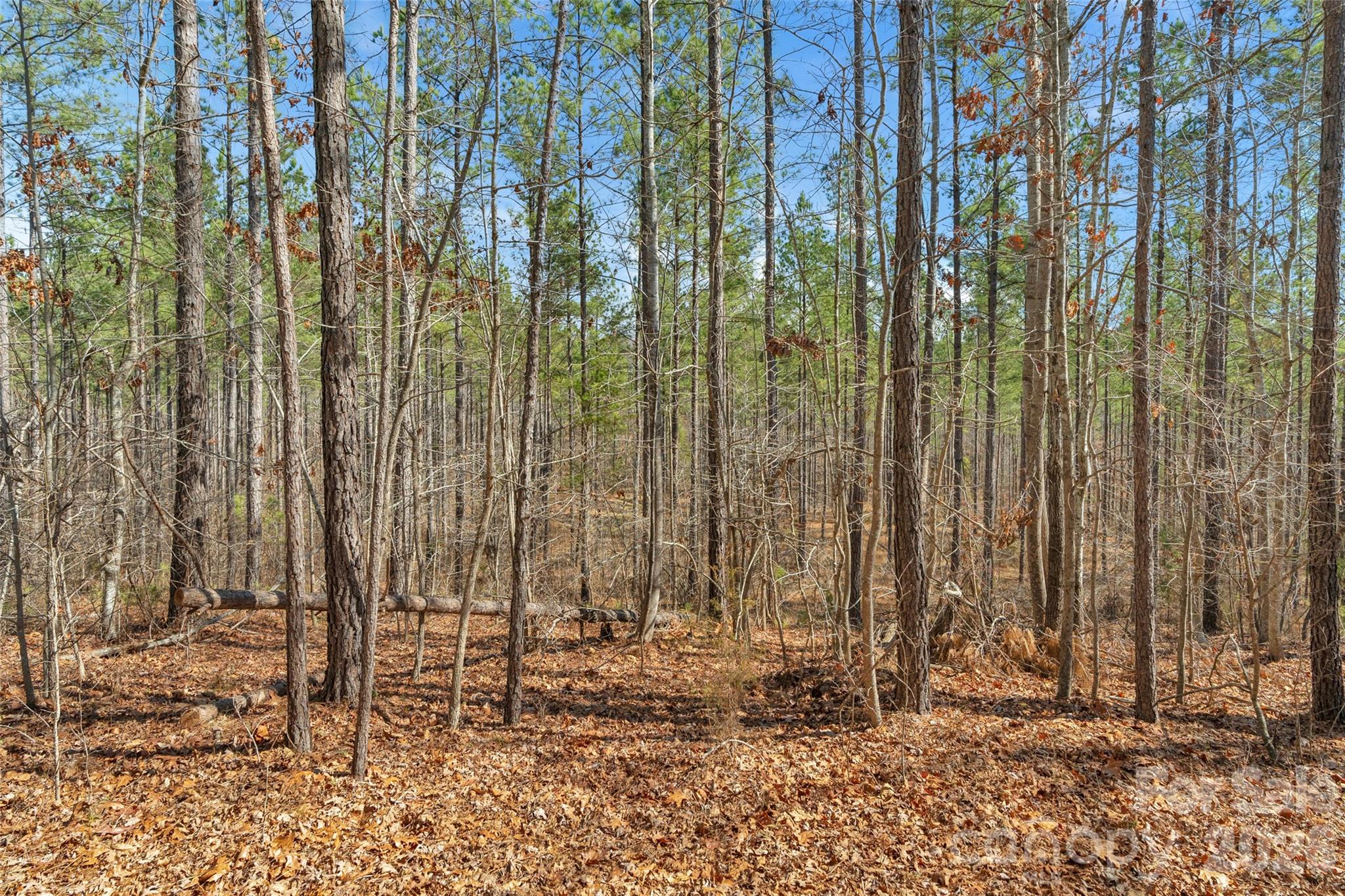 0 Peacehaven Road, Unit 5 McConnells, SC 29726 - Photo 11 of 44