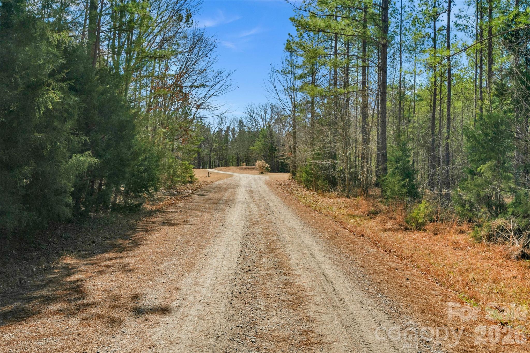0 Peacehaven Road, Unit 5 McConnells, SC 29726 - Photo 12 of 44
