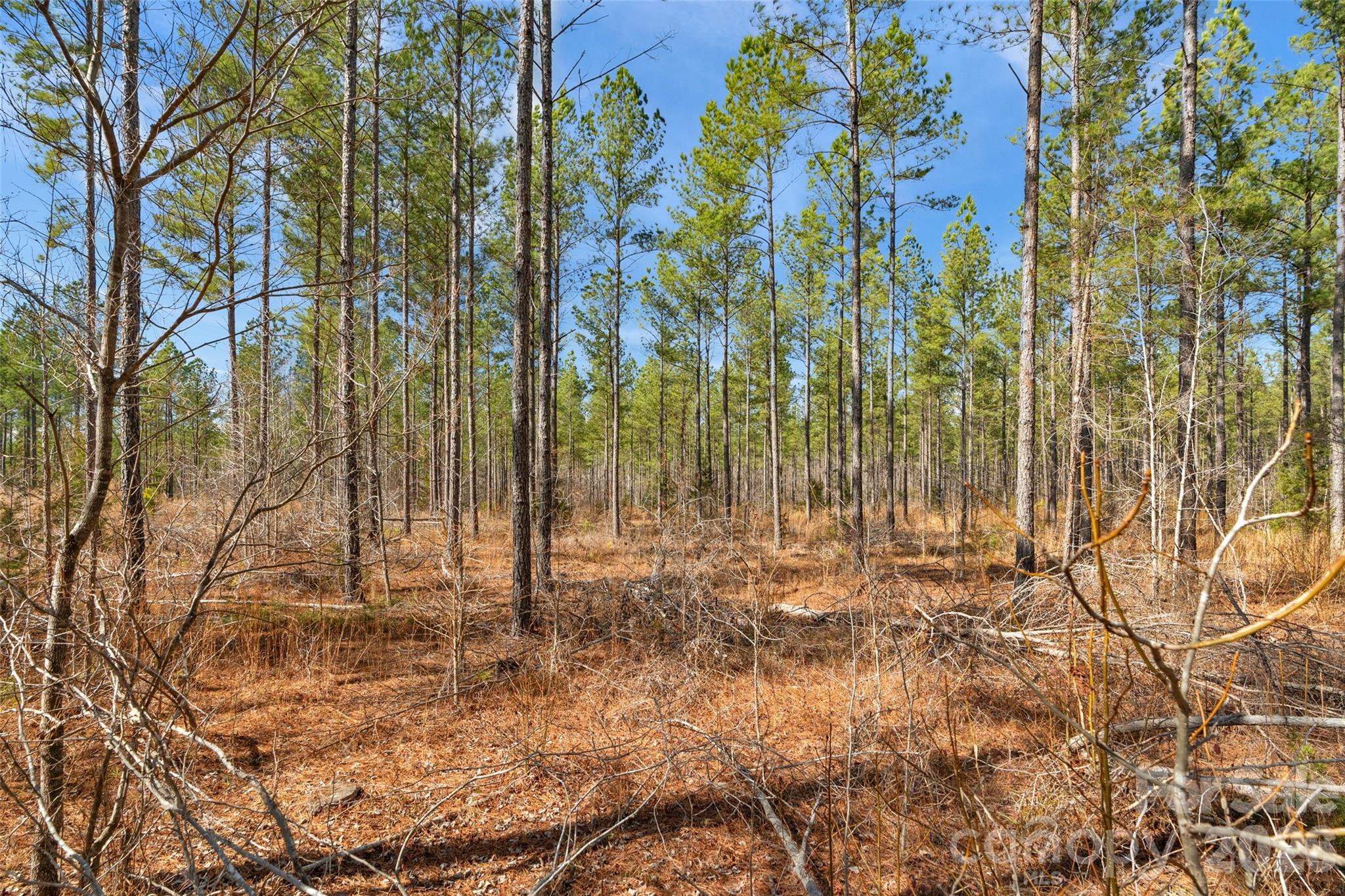 0 Peacehaven Road, Unit 5 McConnells, SC 29726 - Photo 13 of 44