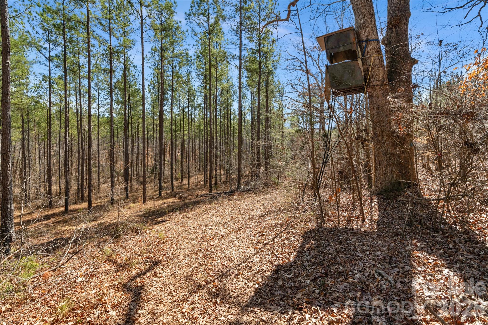 0 Peacehaven Road, Unit 5 McConnells, SC 29726 - Photo 14 of 44