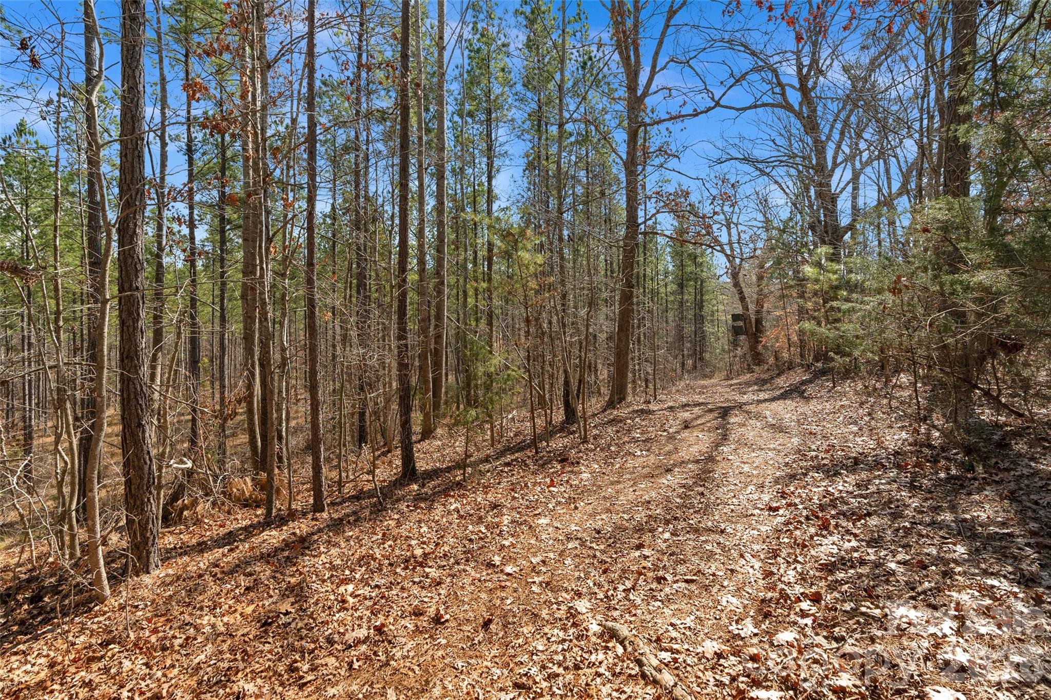 0 Peacehaven Road, Unit 5 McConnells, SC 29726 - Photo 15 of 44