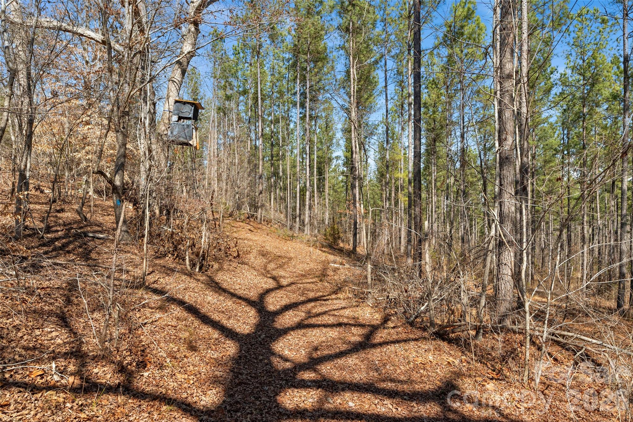 0 Peacehaven Road, Unit 5 McConnells, SC 29726 - Photo 16 of 44