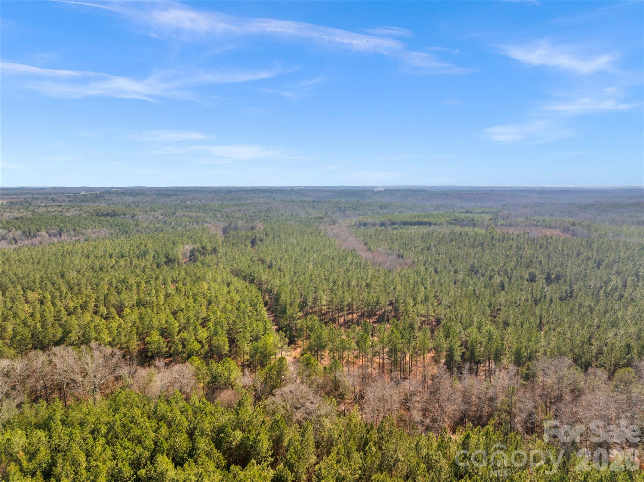 0 Peacehaven Road, Unit 5 McConnells, SC 29726 - Photo 17 of 44