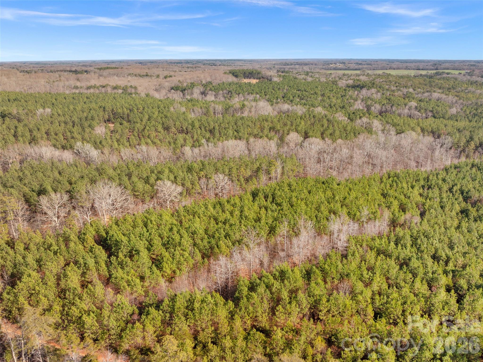 0 Peacehaven Road, Unit 5 McConnells, SC 29726 - Photo 19 of 44