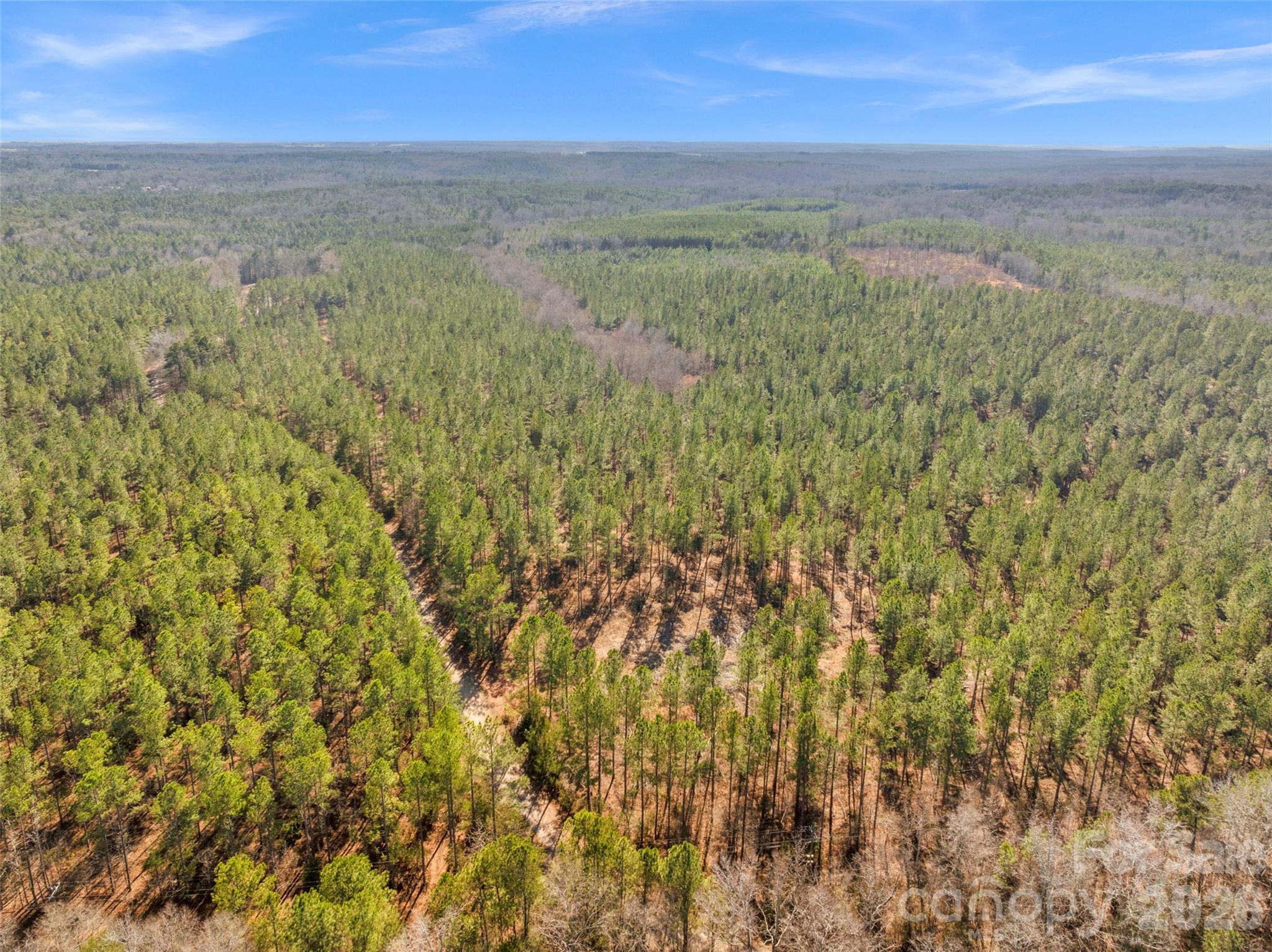 0 Peacehaven Road, Unit 5 McConnells, SC 29726 - Photo 20 of 44