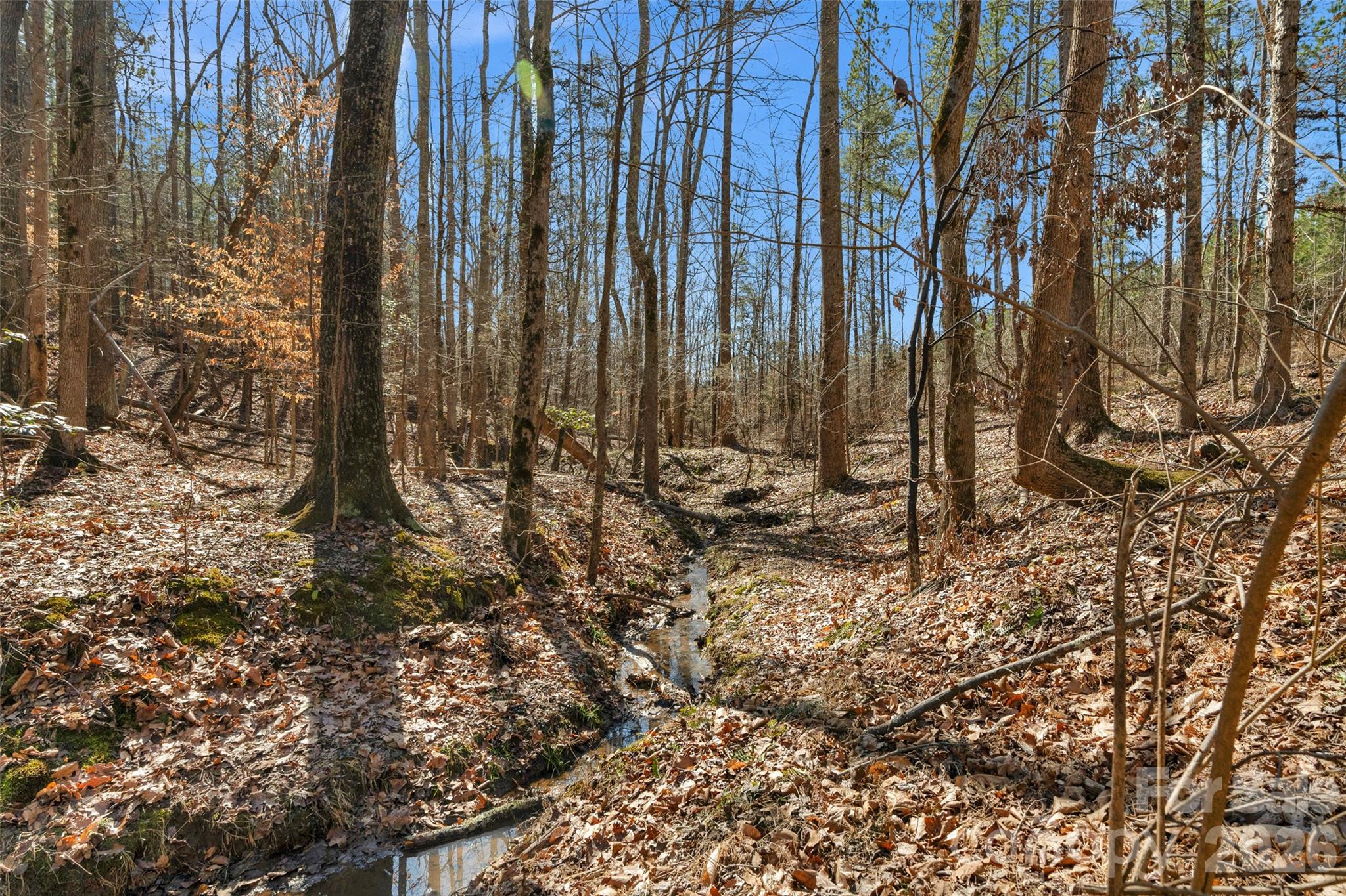 0 Peacehaven Road, Unit 5 McConnells, SC 29726 - Photo 2 of 44