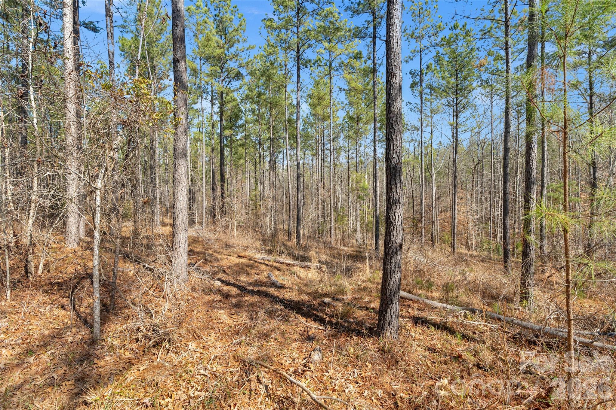 0 Peacehaven Road, Unit 5 McConnells, SC 29726 - Photo 22 of 44