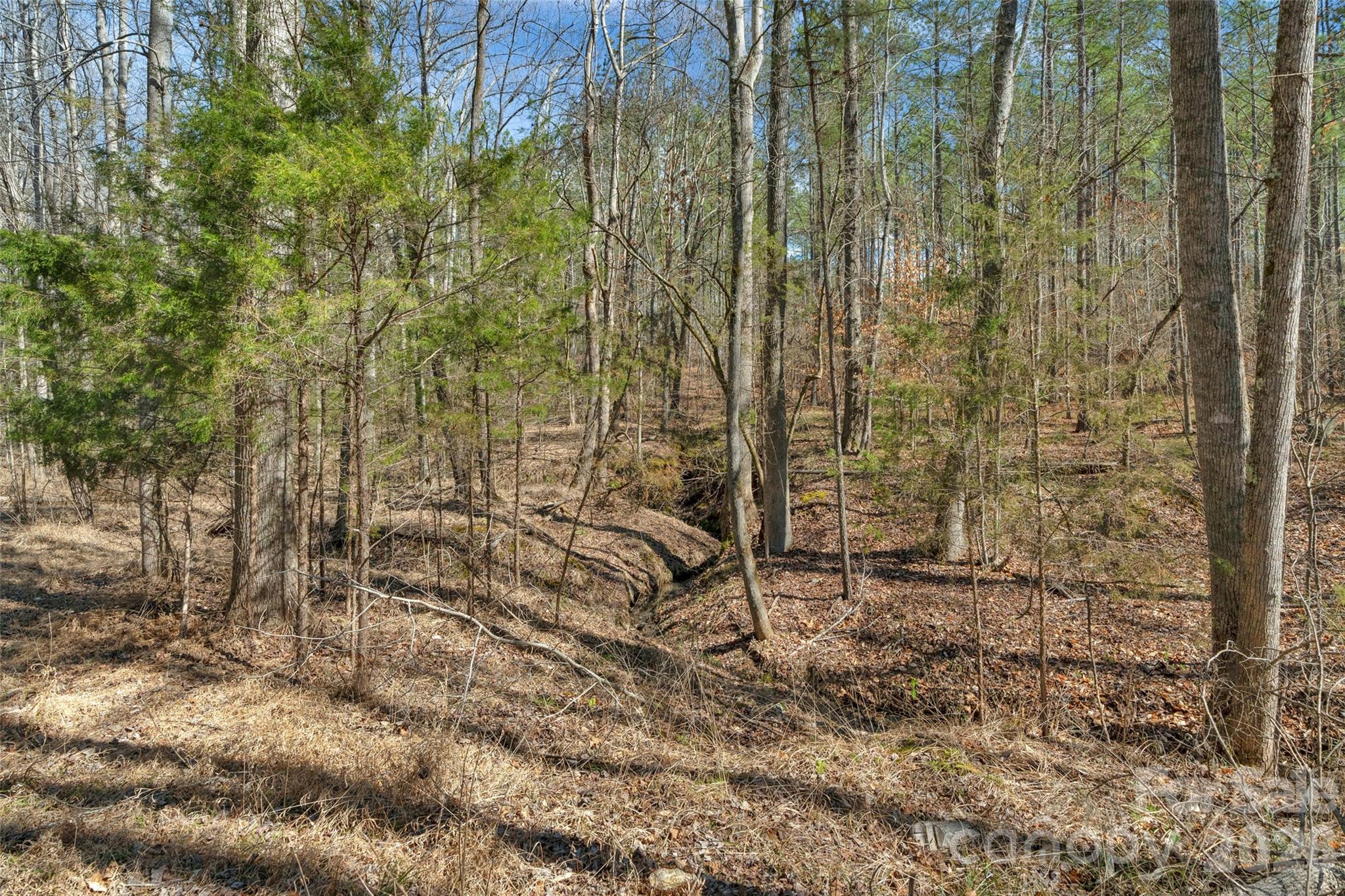 0 Peacehaven Road, Unit 5 McConnells, SC 29726 - Photo 23 of 44