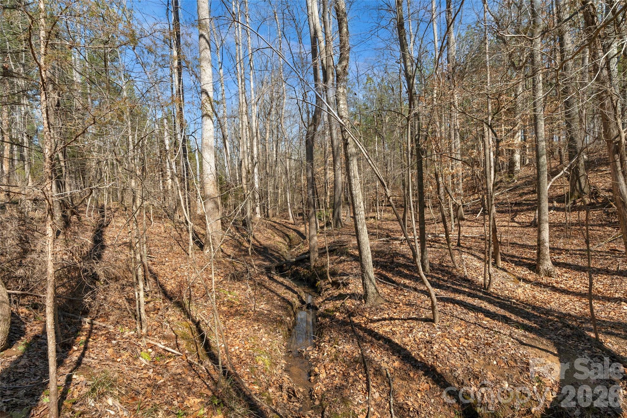 0 Peacehaven Road, Unit 5 McConnells, SC 29726 - Photo 24 of 44