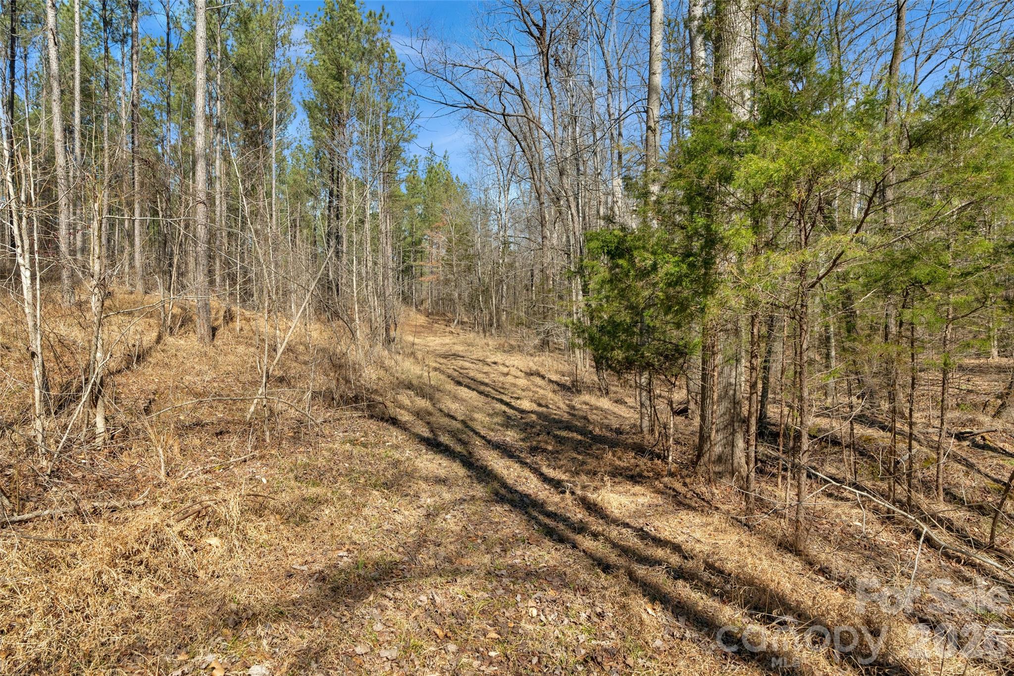 0 Peacehaven Road, Unit 5 McConnells, SC 29726 - Photo 25 of 44