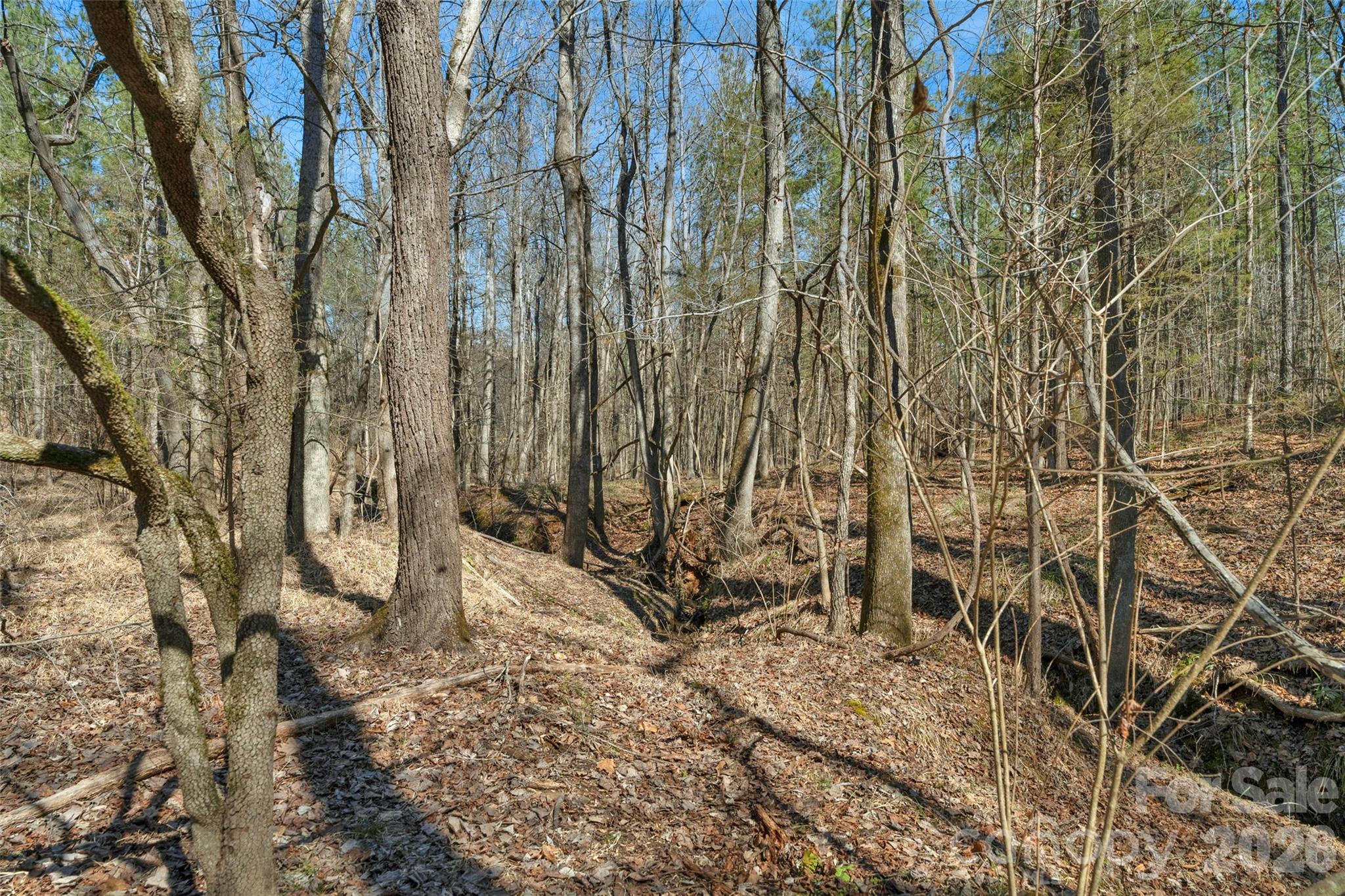 0 Peacehaven Road, Unit 5 McConnells, SC 29726 - Photo 26 of 44