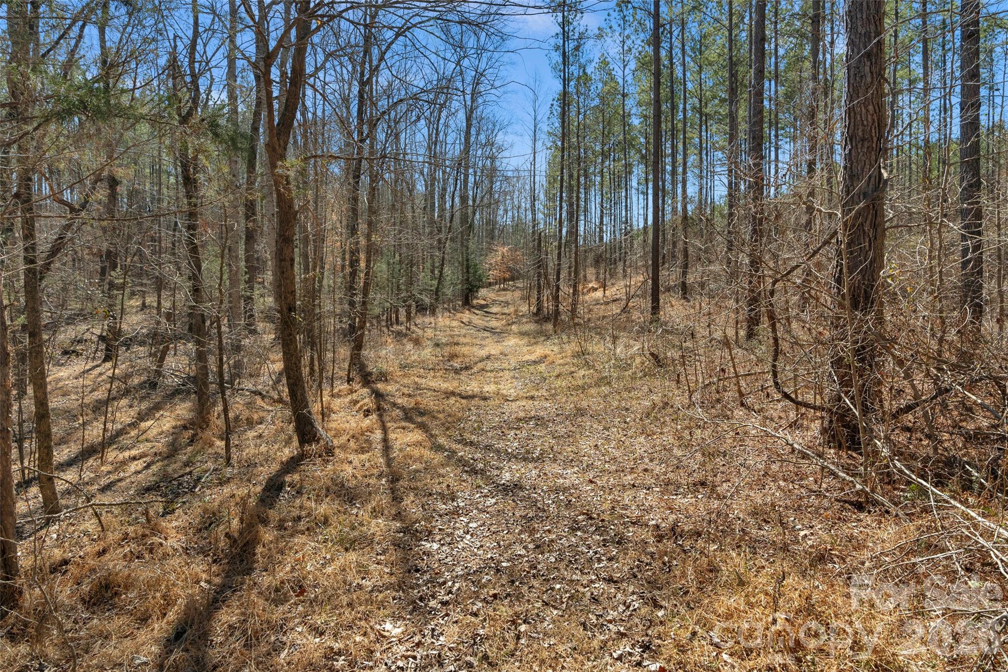 0 Peacehaven Road, Unit 5 McConnells, SC 29726 - Photo 27 of 44