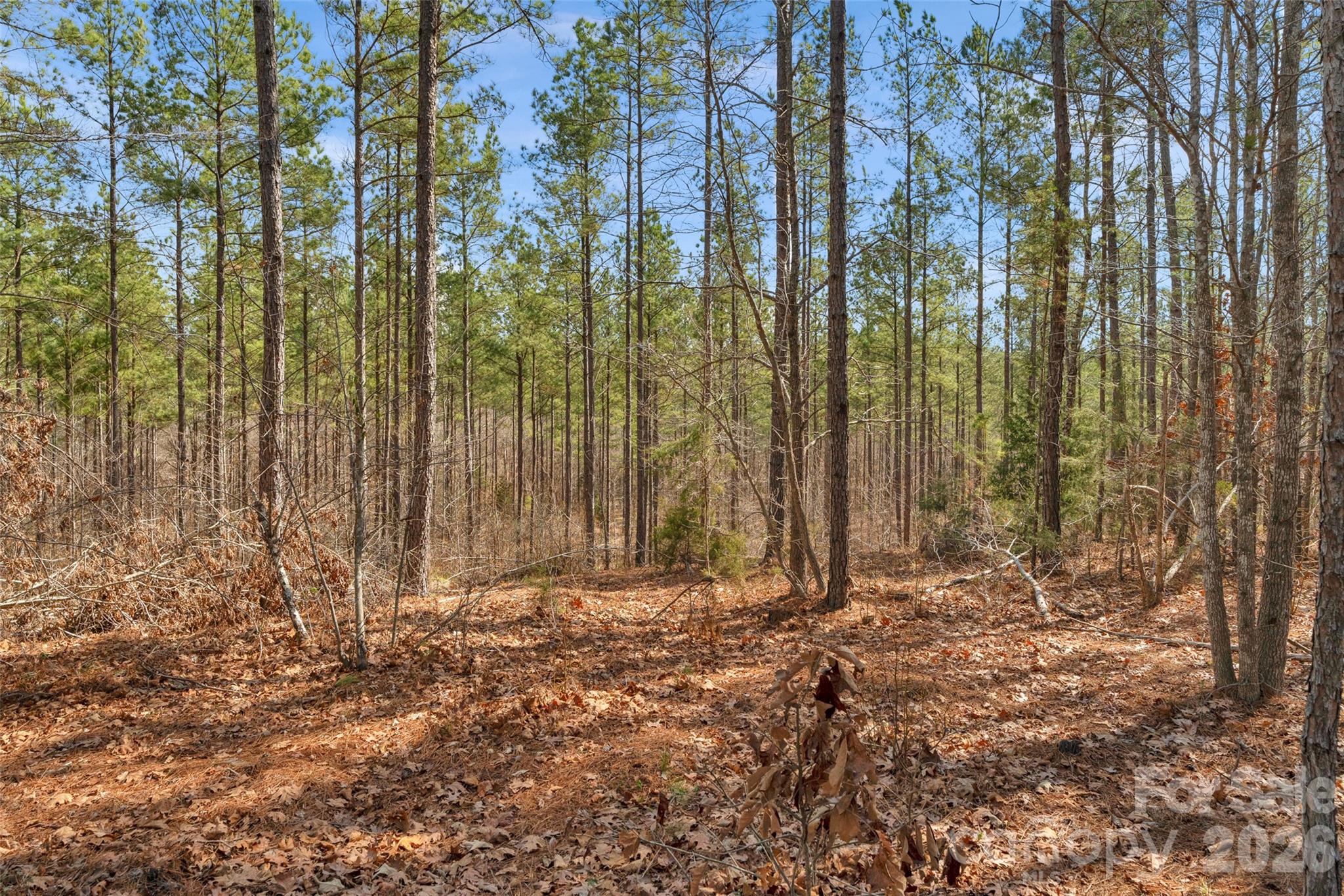 0 Peacehaven Road, Unit 5 McConnells, SC 29726 - Photo 28 of 44