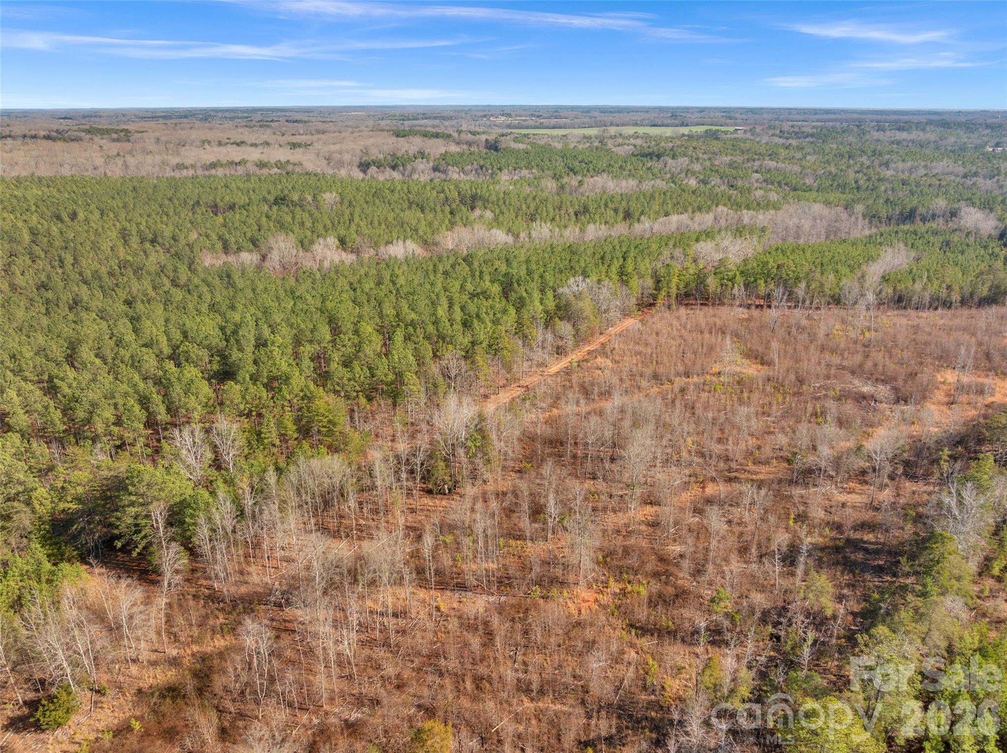 0 Peacehaven Road, Unit 5 McConnells, SC 29726 - Photo 29 of 44