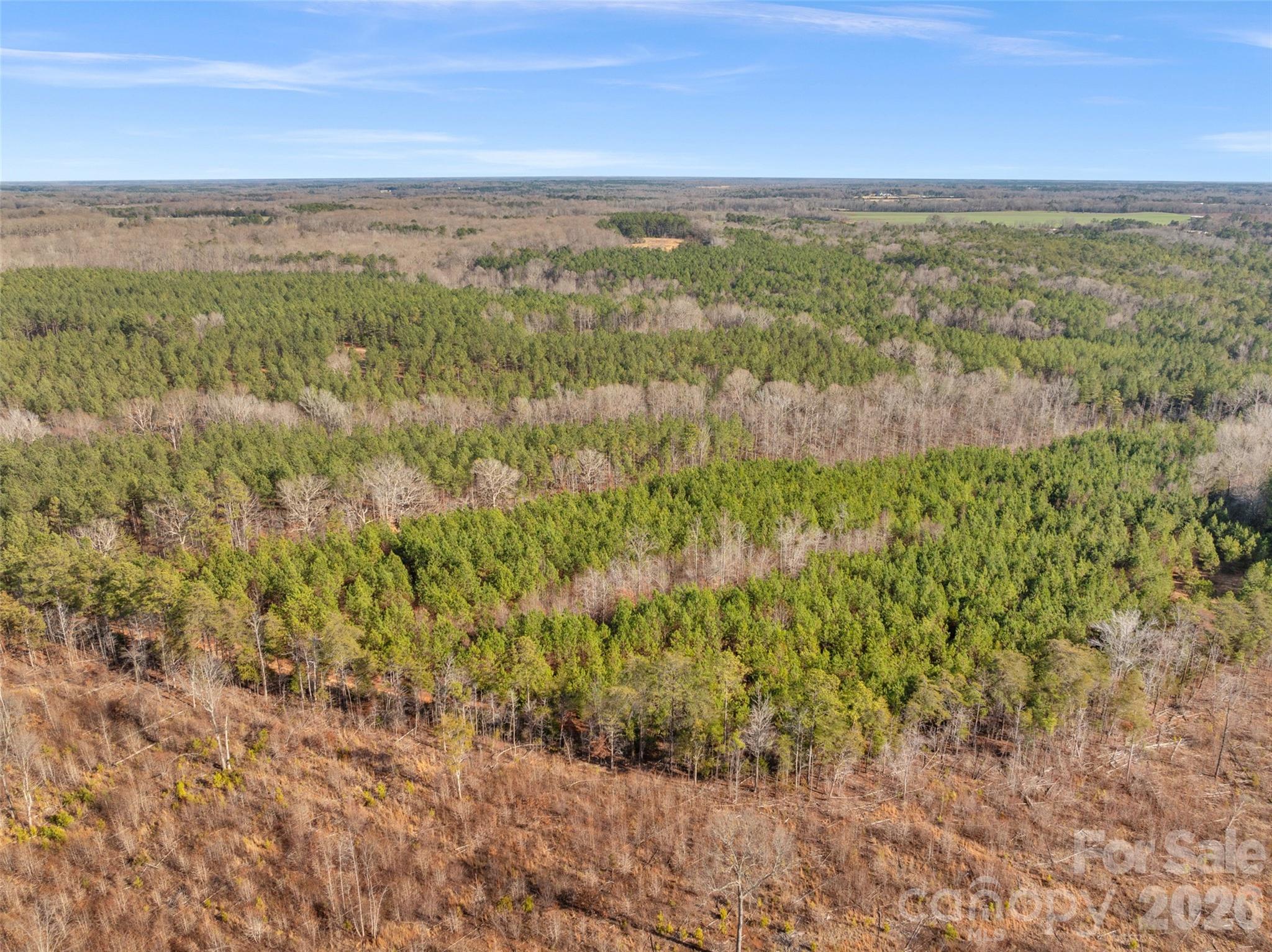 0 Peacehaven Road, Unit 5 McConnells, SC 29726 - Photo 30 of 44