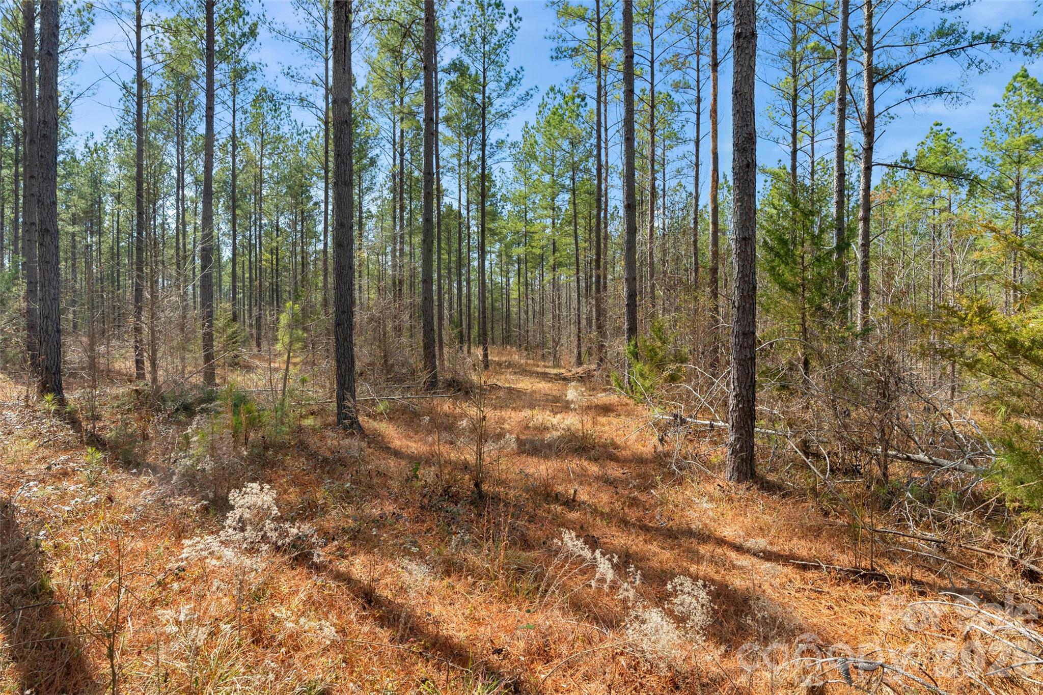 0 Peacehaven Road, Unit 5 McConnells, SC 29726 - Photo 3 of 44