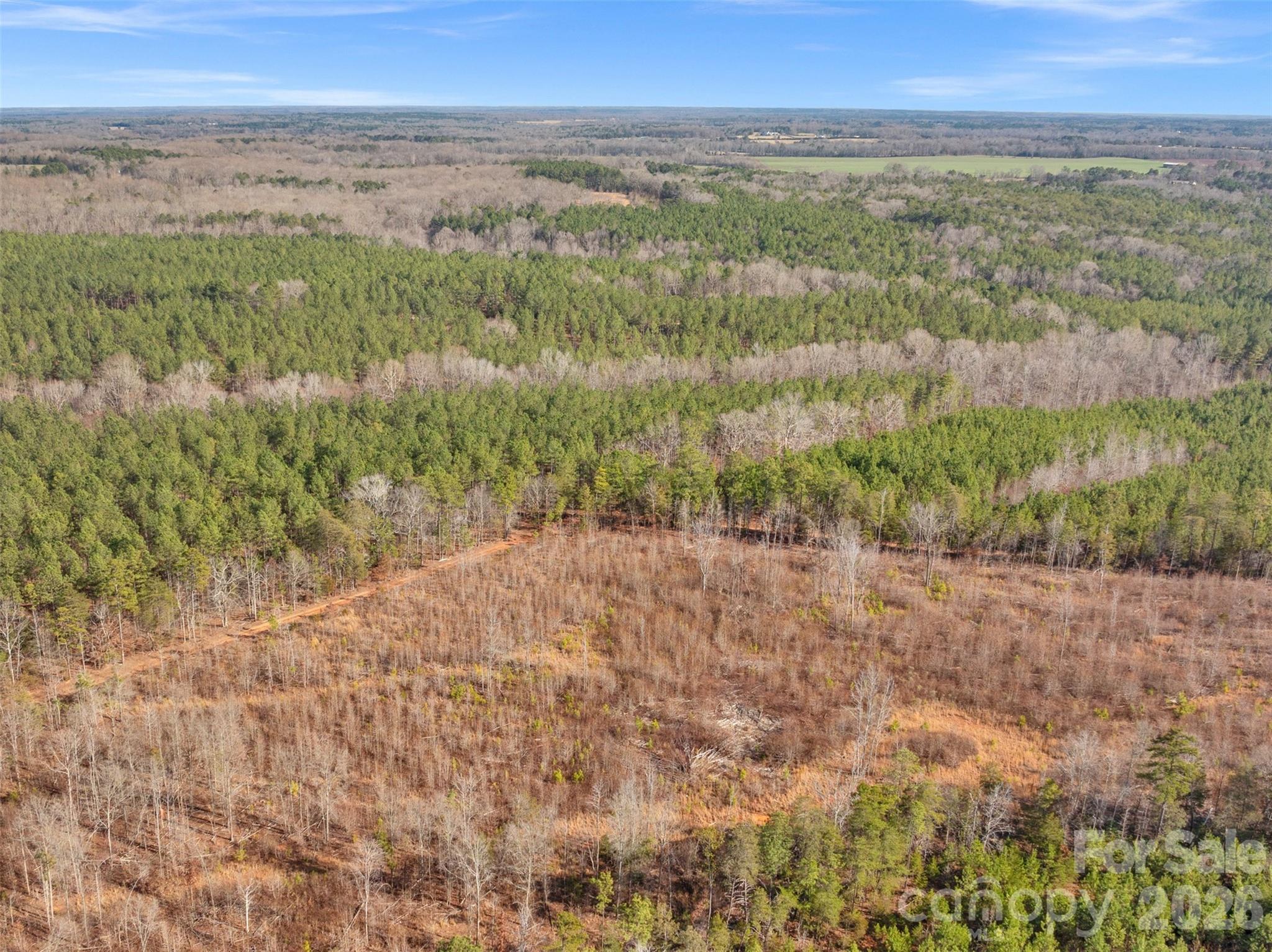 0 Peacehaven Road, Unit 5 McConnells, SC 29726 - Photo 32 of 44