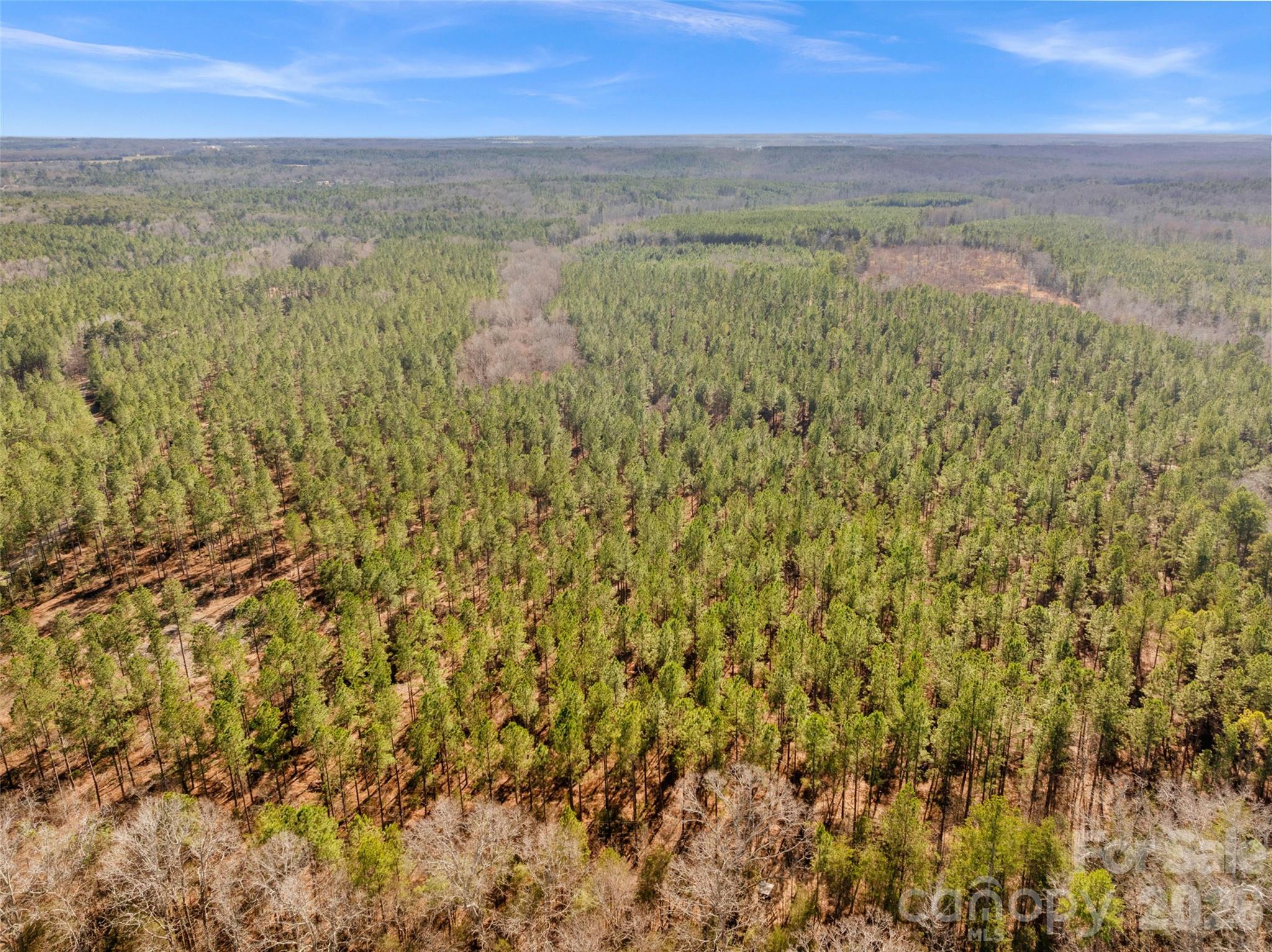 0 Peacehaven Road, Unit 5 McConnells, SC 29726 - Photo 33 of 44