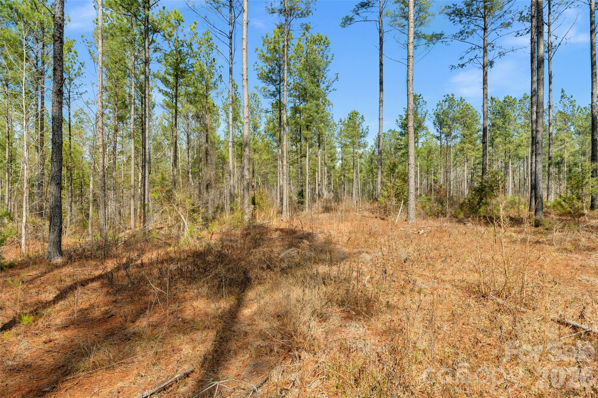 0 Peacehaven Road, Unit 5 McConnells, SC 29726 - Photo 35 of 44