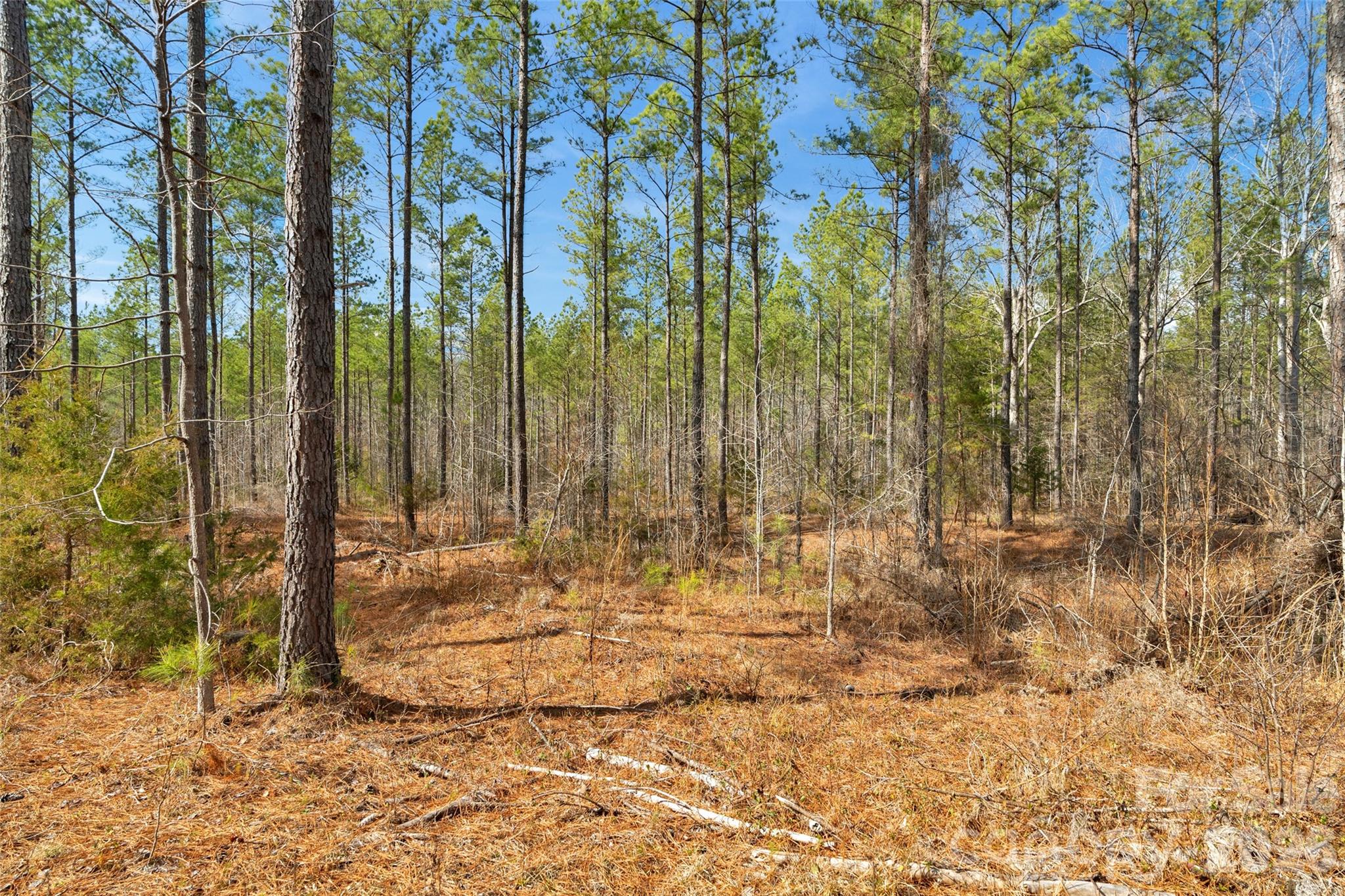 0 Peacehaven Road, Unit 5 McConnells, SC 29726 - Photo 37 of 44