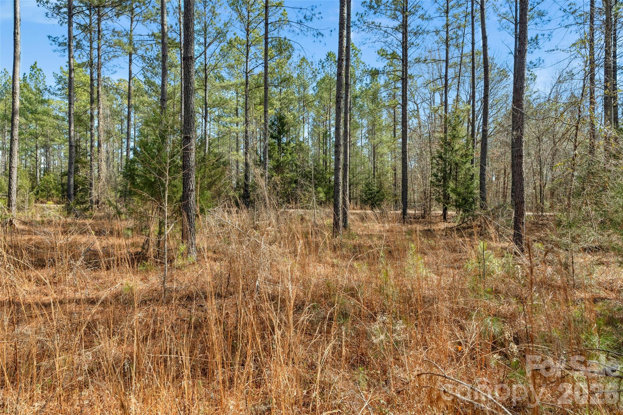 0 Peacehaven Road, Unit 5 McConnells, SC 29726 - Photo 38 of 44