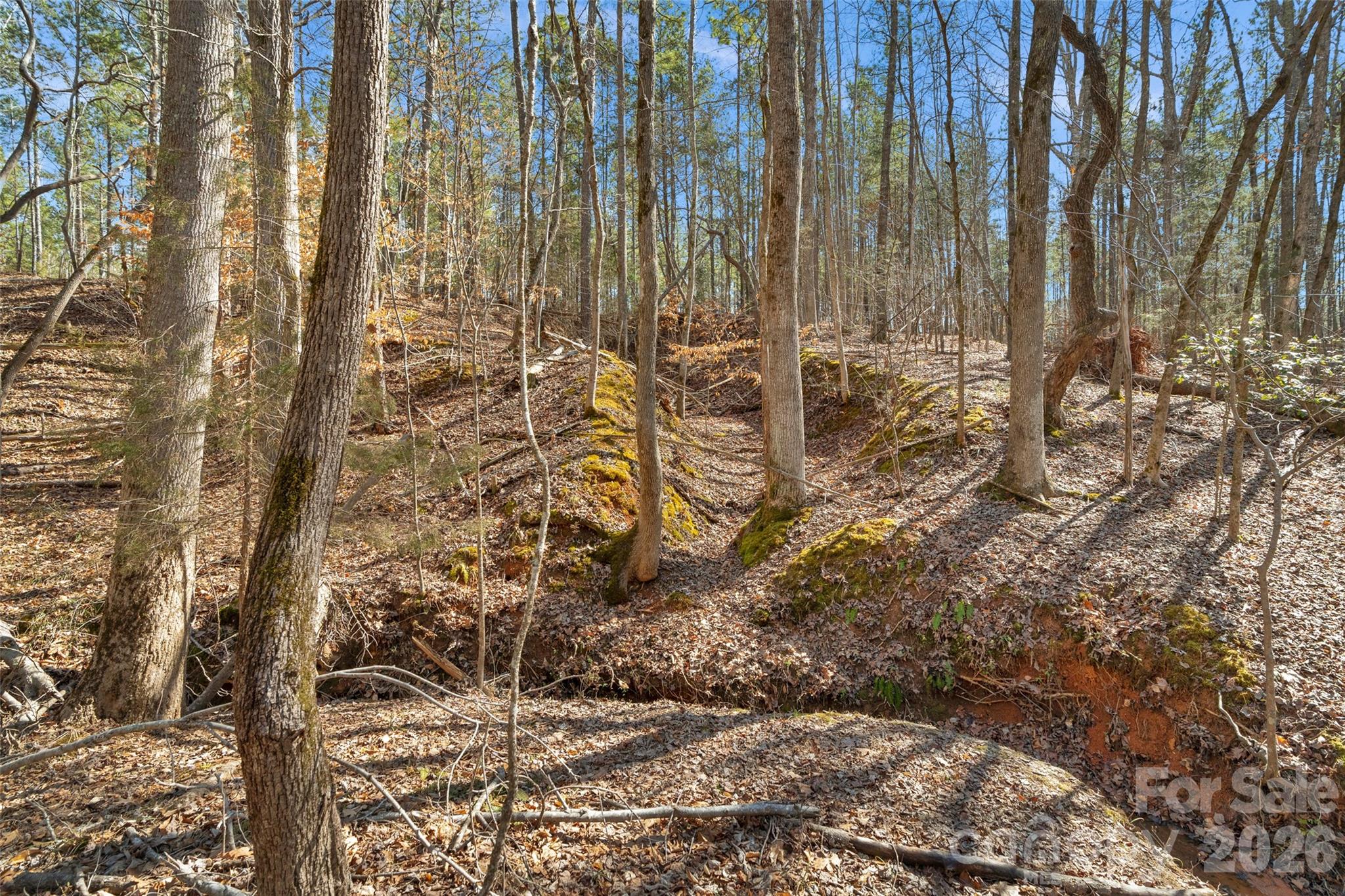 0 Peacehaven Road, Unit 5 McConnells, SC 29726 - Photo 39 of 44