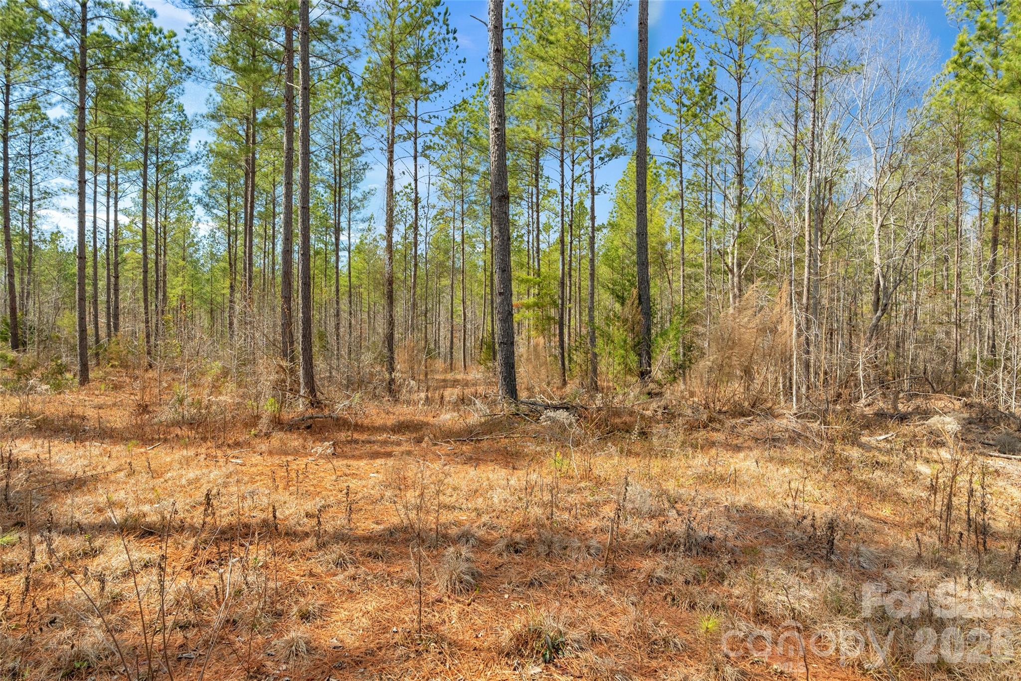 0 Peacehaven Road, Unit 5 McConnells, SC 29726 - Photo 4 of 44