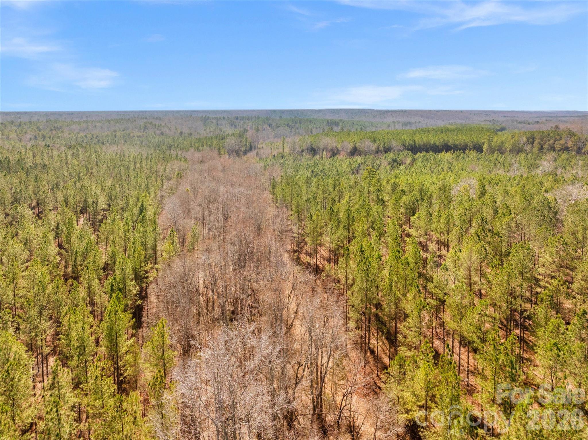 0 Peacehaven Road, Unit 5 McConnells, SC 29726 - Photo 5 of 44