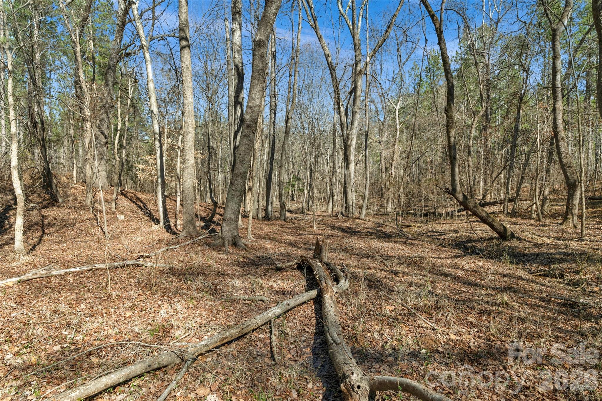 0 Peacehaven Road, Unit 5 McConnells, SC 29726 - Photo 6 of 44