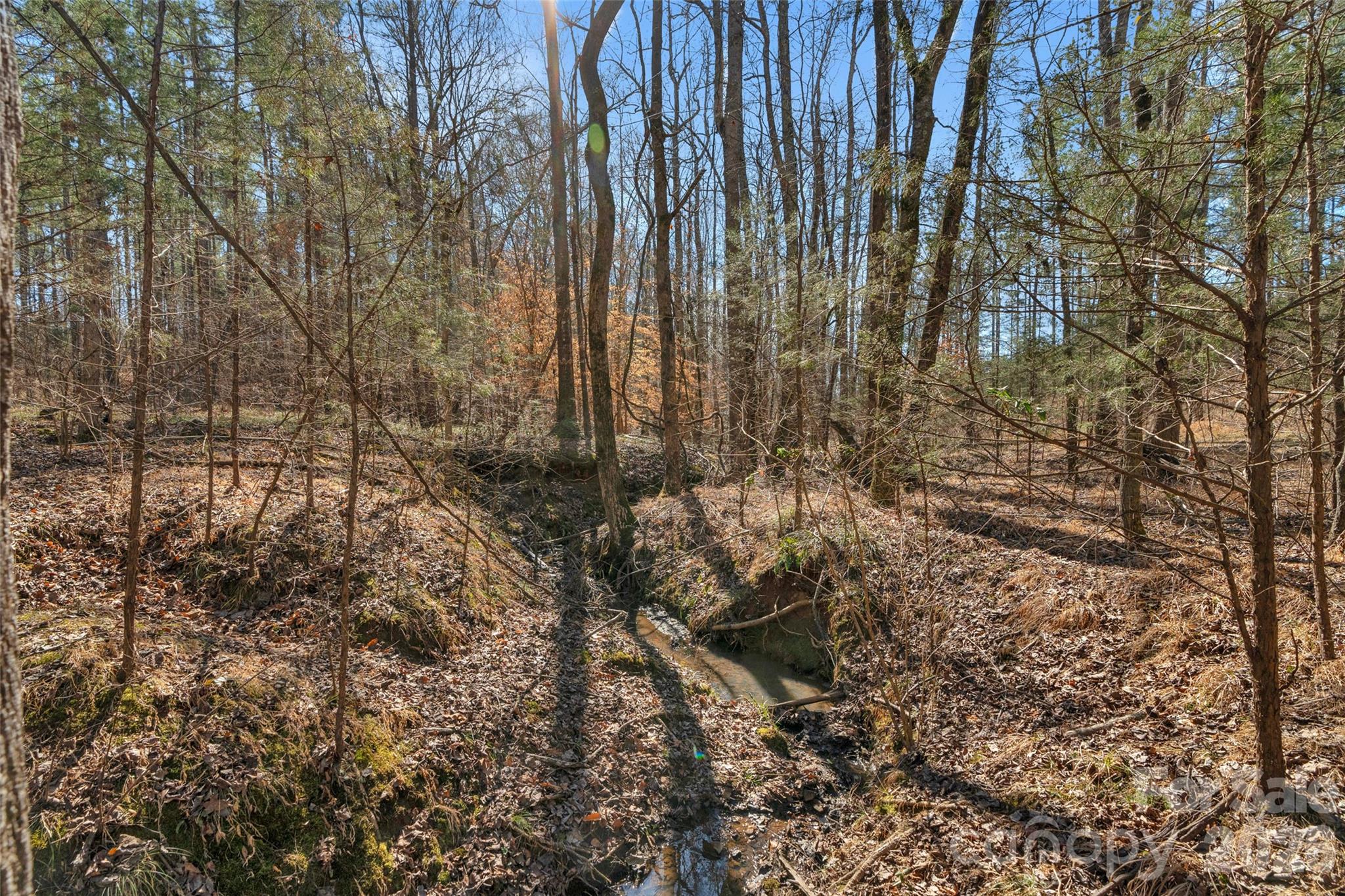 0 Peacehaven Road, Unit 5 McConnells, SC 29726 - Photo 7 of 44