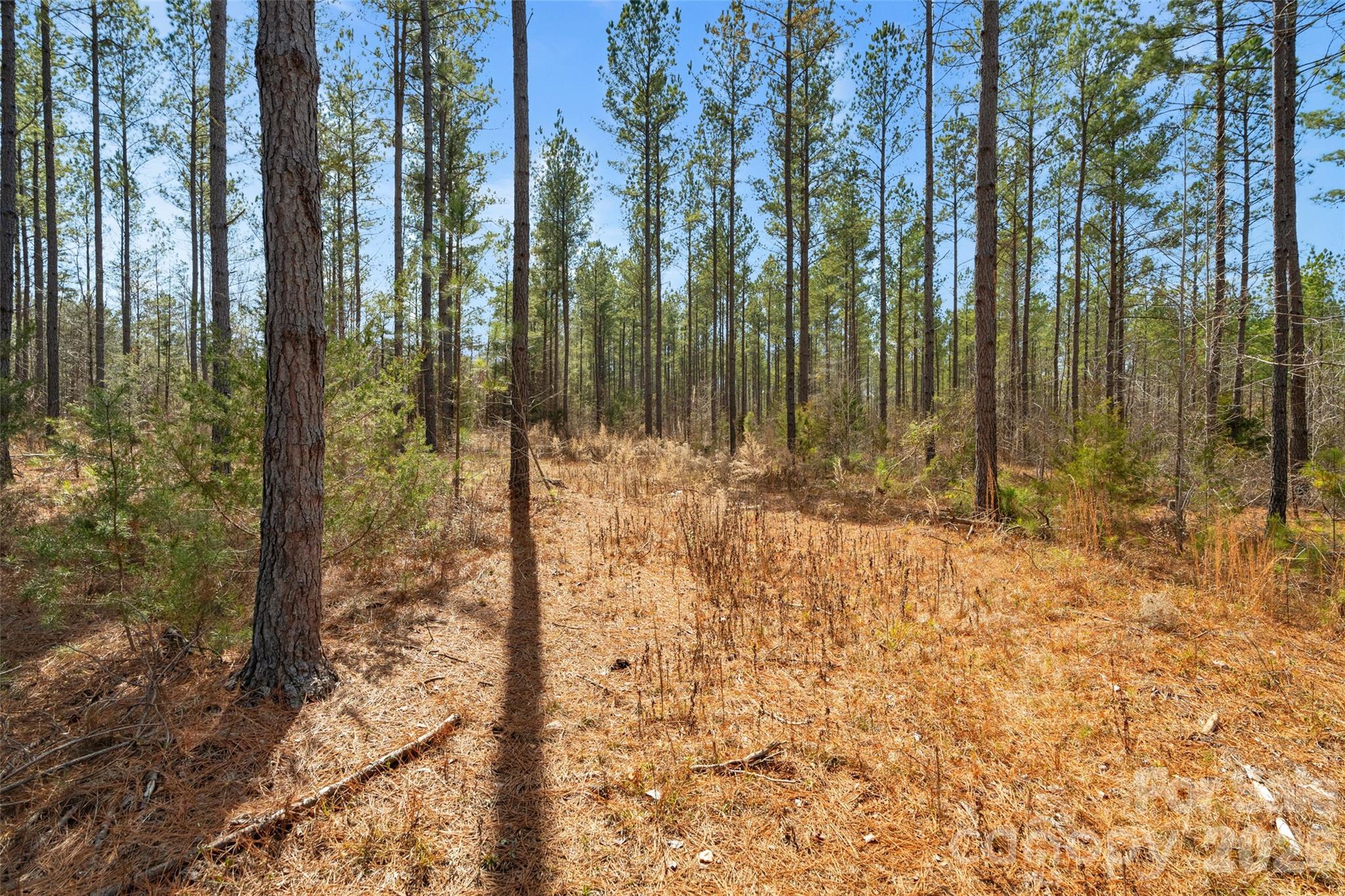 0 Peacehaven Road, Unit 5 McConnells, SC 29726 - Photo 8 of 44