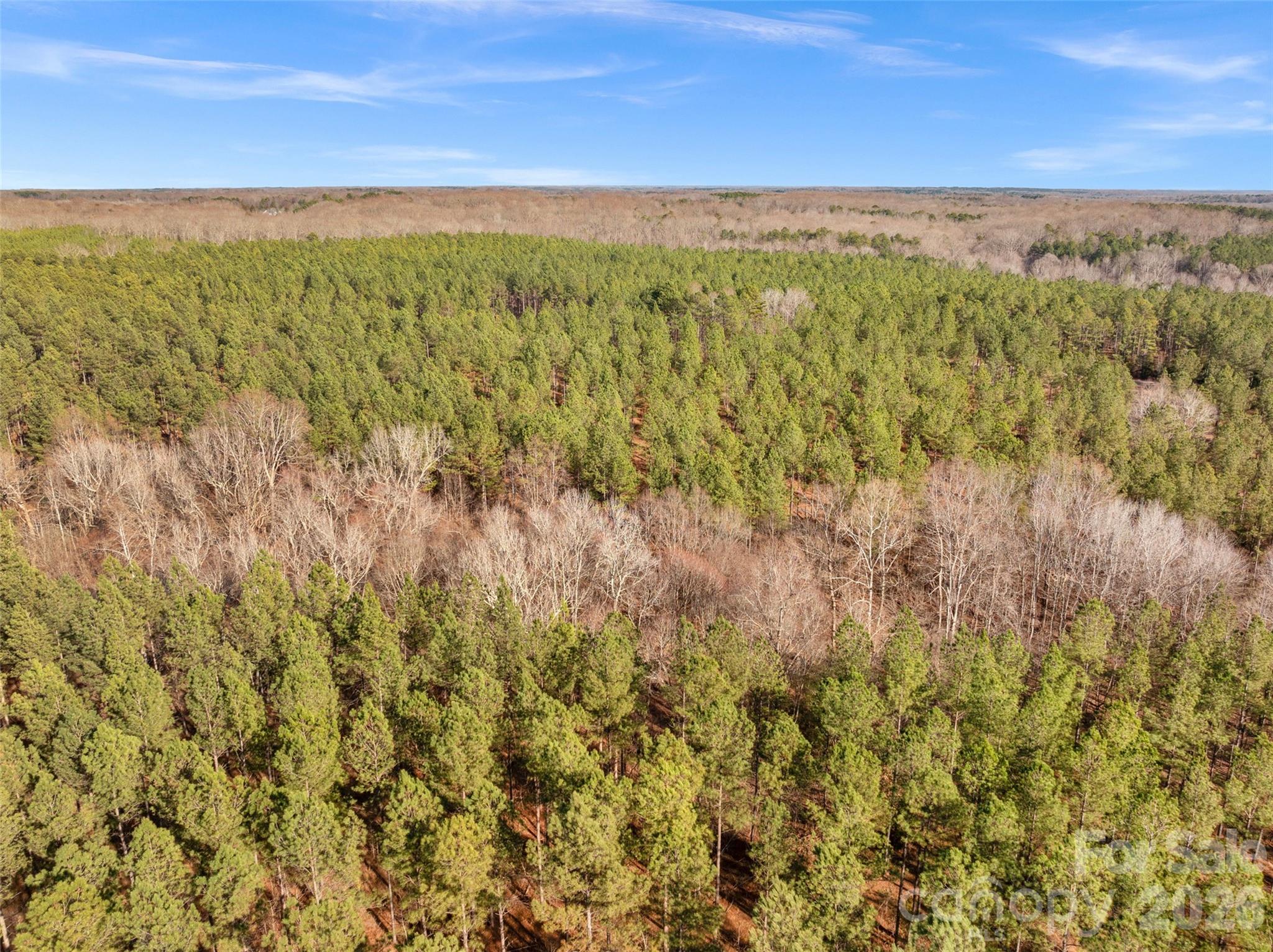 0 Peacehaven Road, Unit 5 McConnells, SC 29726 - Photo 10 of 44