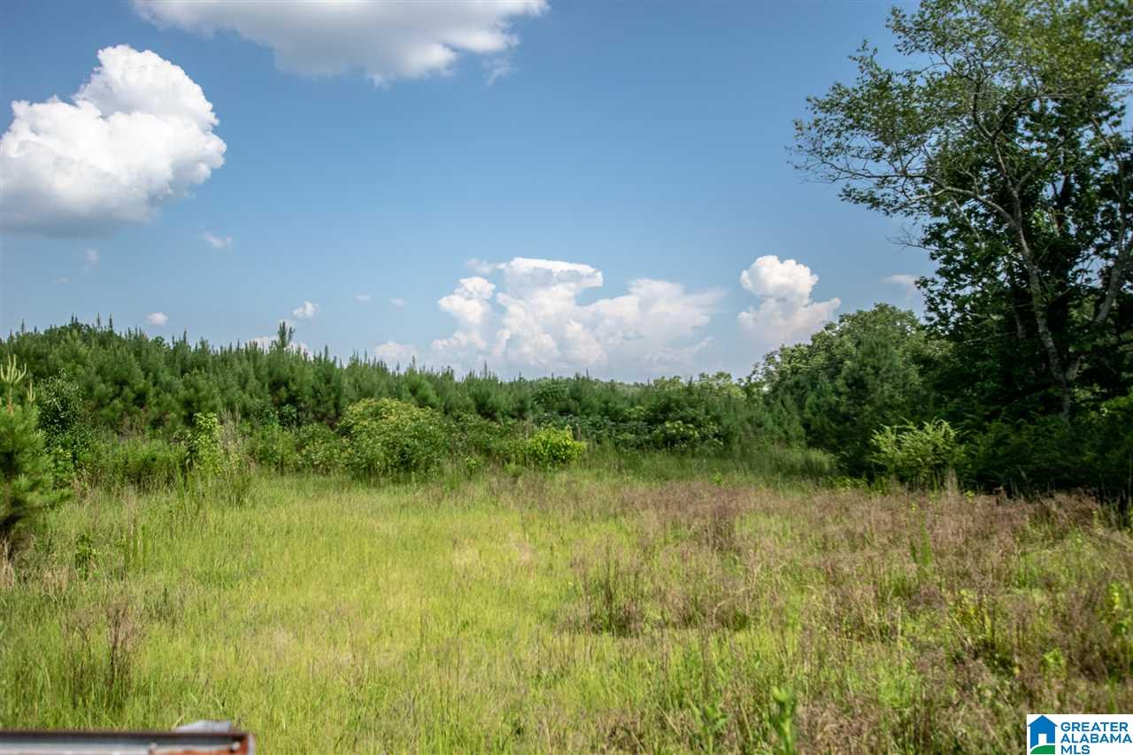 Justice Road, Unit 1 Sumiton, AL 35148 - Photo 1 of 3