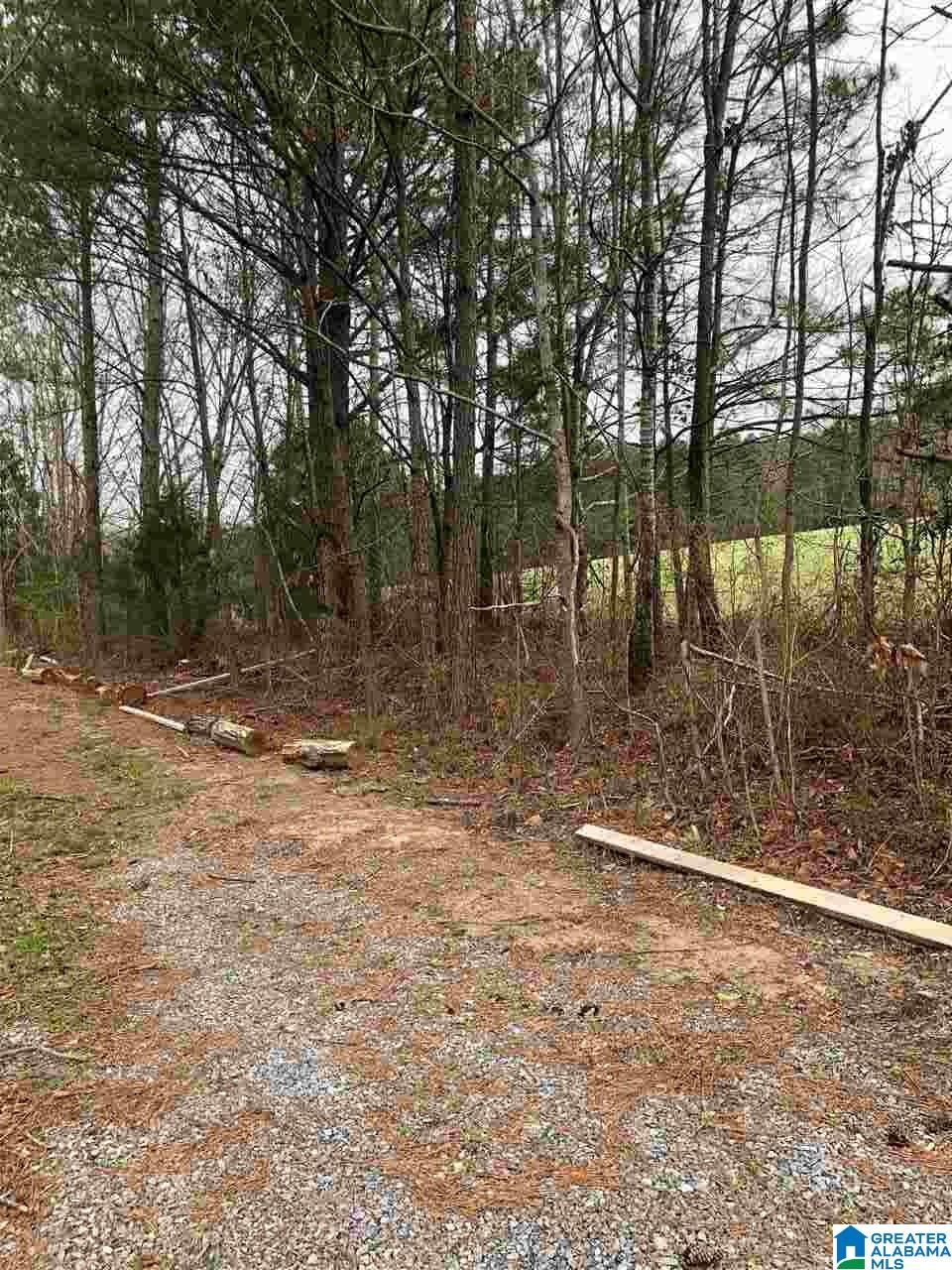 323 Yellow Hammer Road Blountsville, AL 35031 - Photo 5 of 9