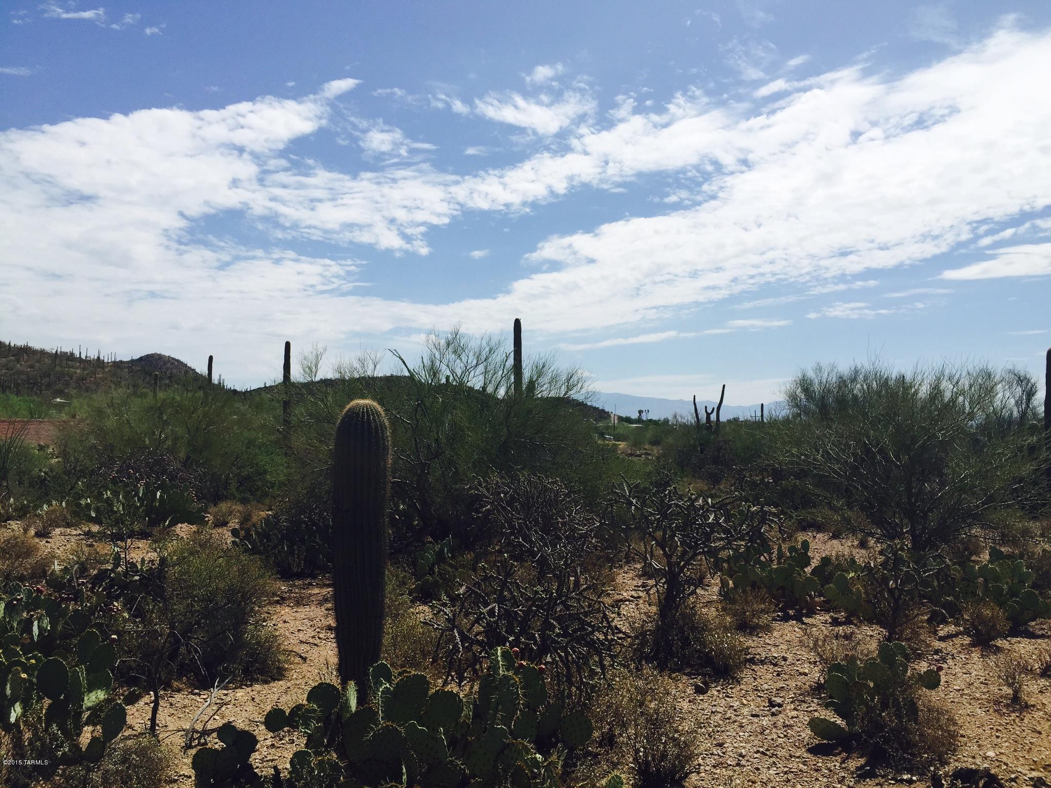 0 West Irvington Road North Tucson, AZ 85746 - Photo 4 of 4